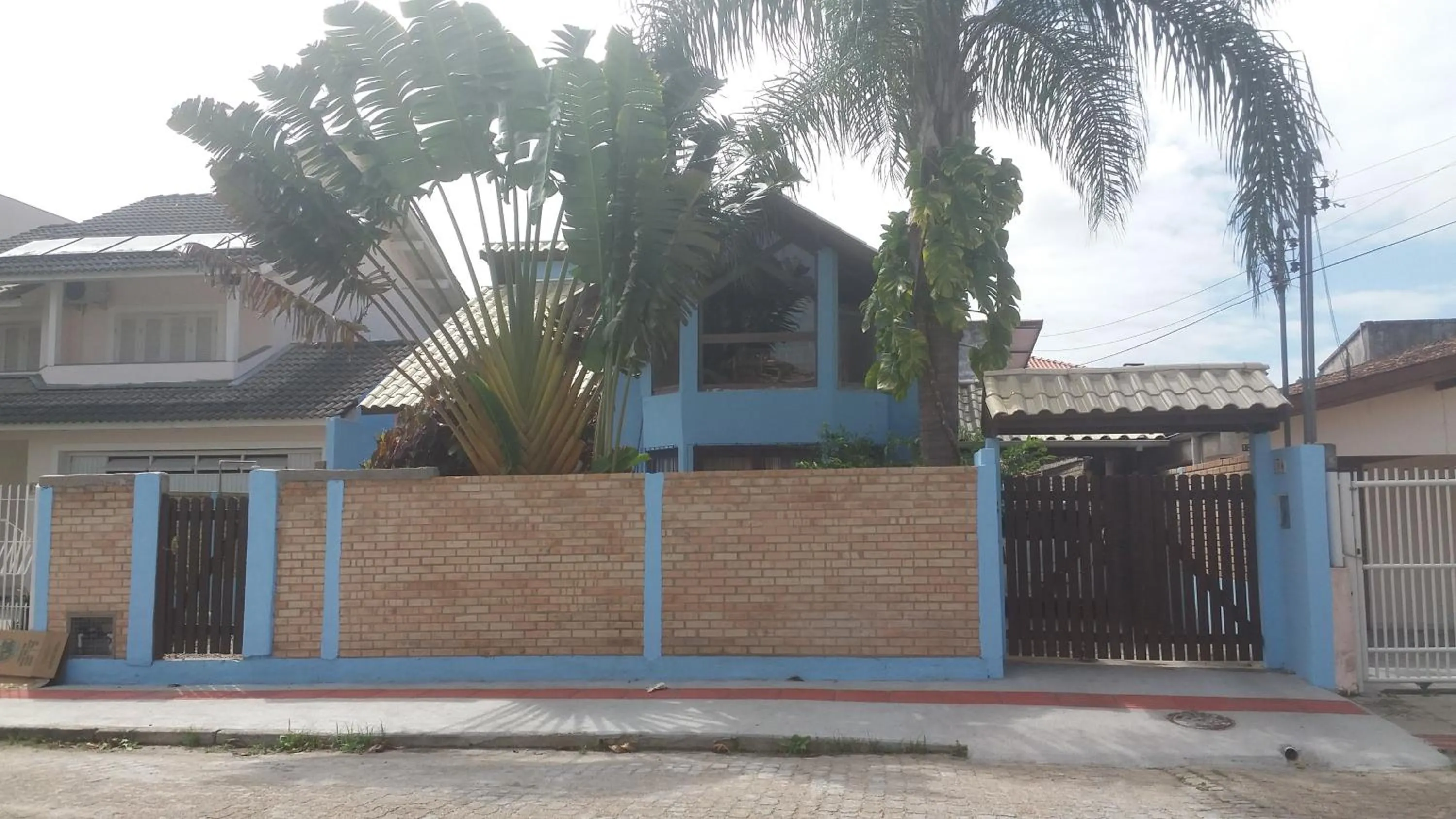 Tartaruga Azul