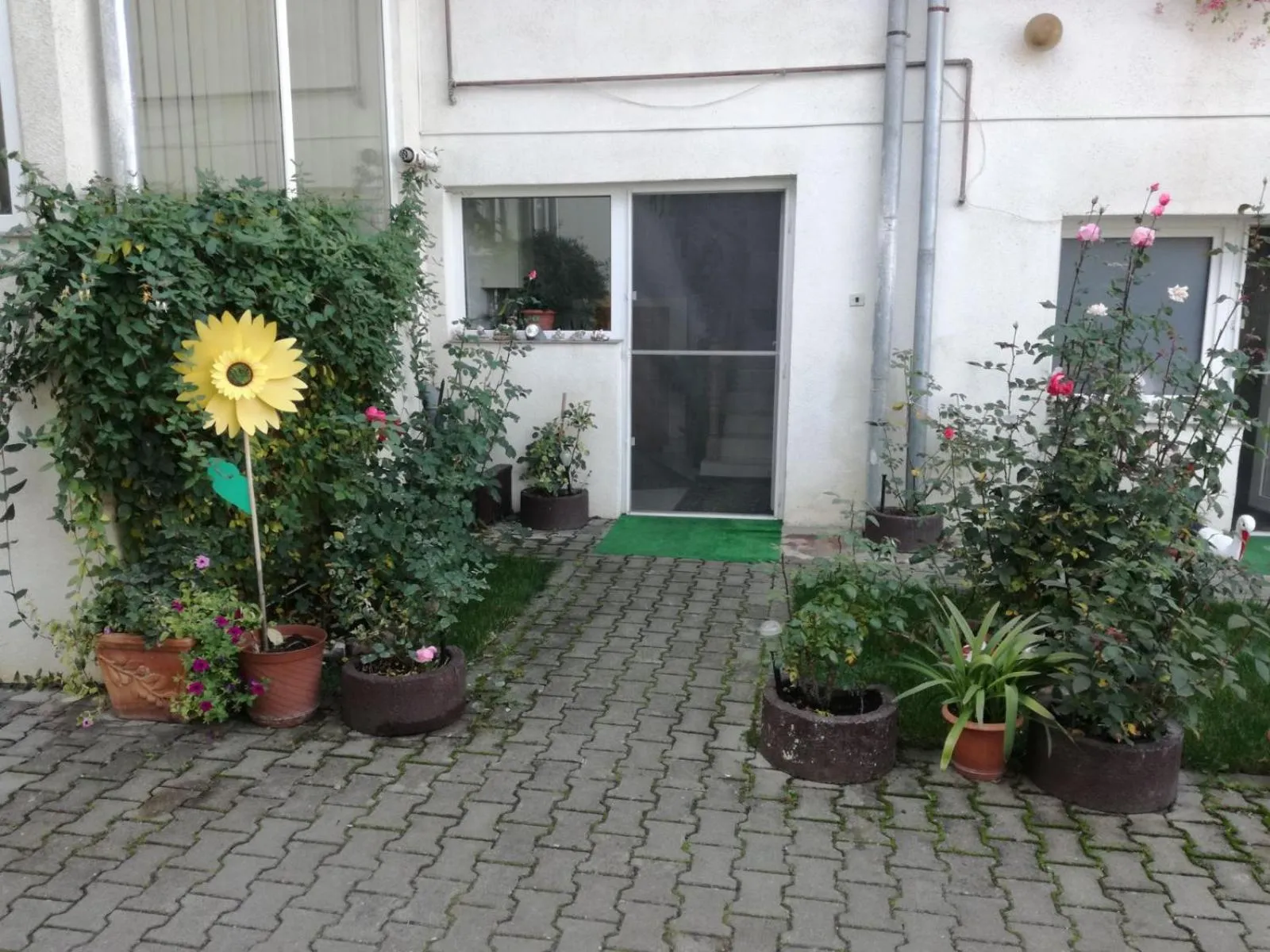 Property building in Vila Nely