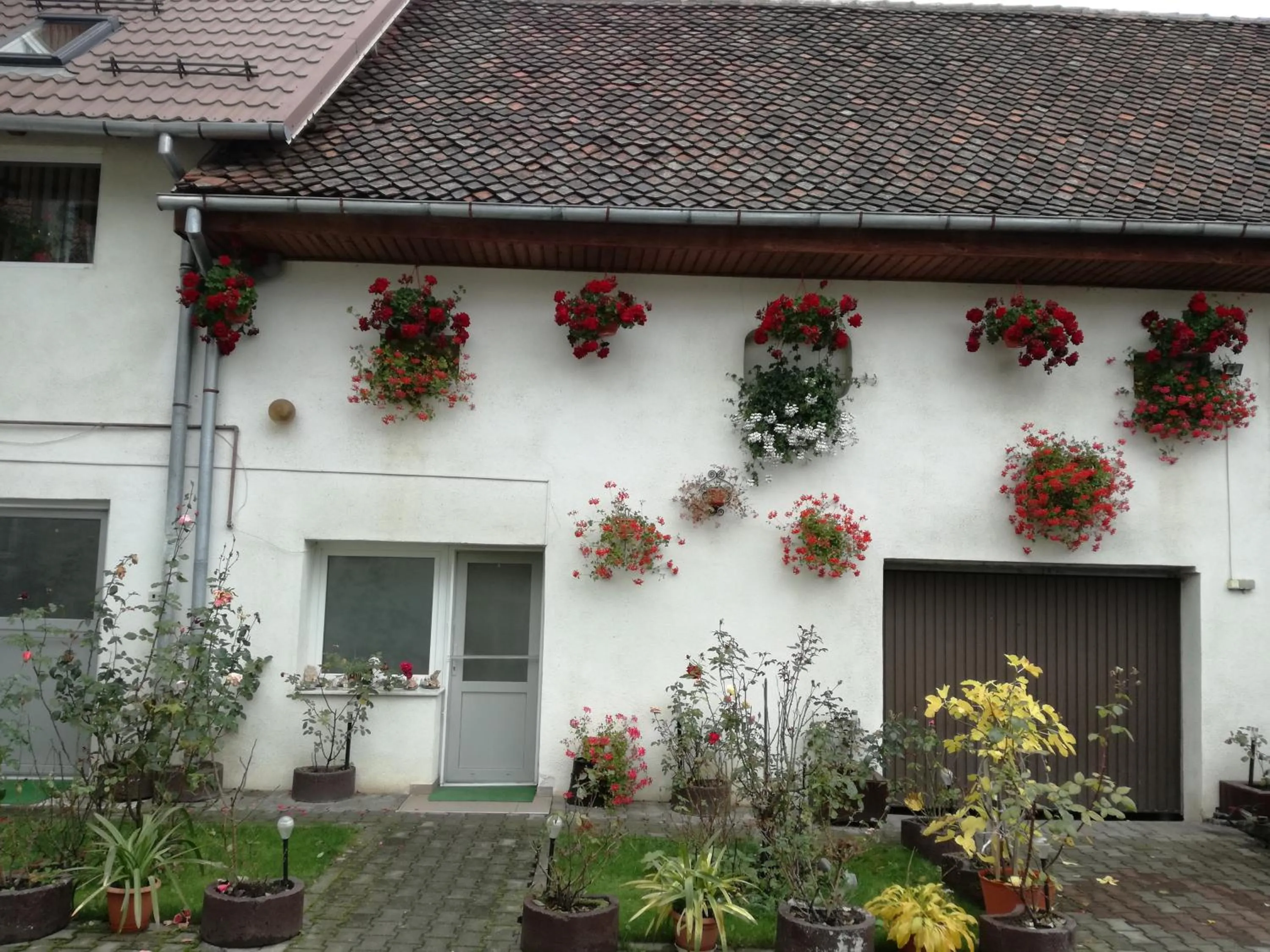 Property building in Vila Nely