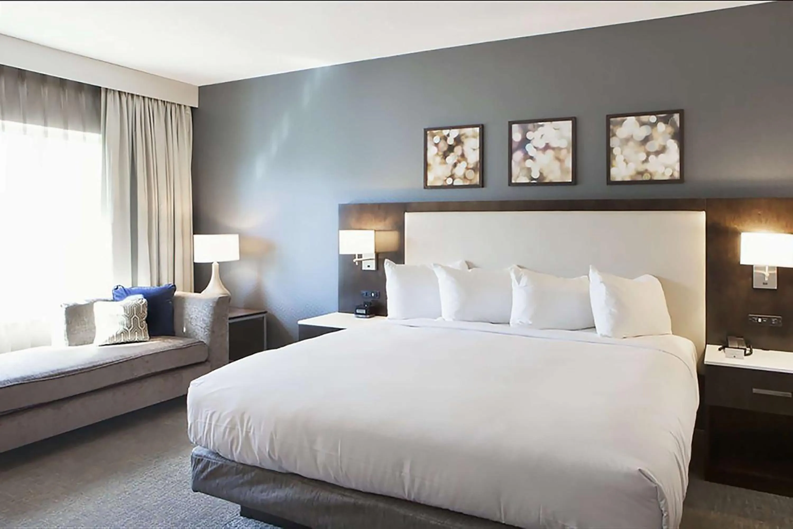 Bed in Hilton Garden Inn Minneapolis - University Area