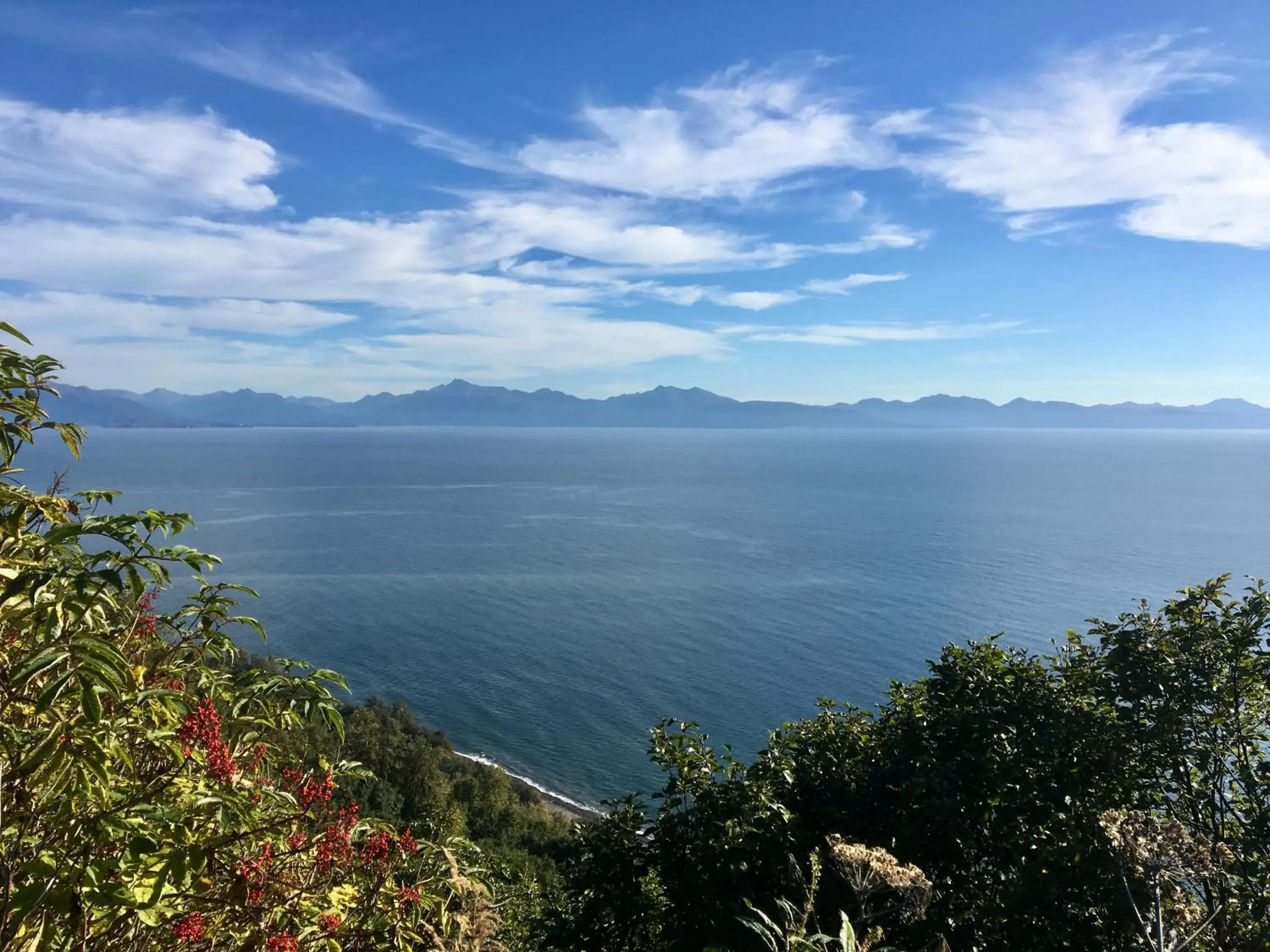 Studio Cabin in Baycrest Lodge Studio Cabin in Baycrest Lodge