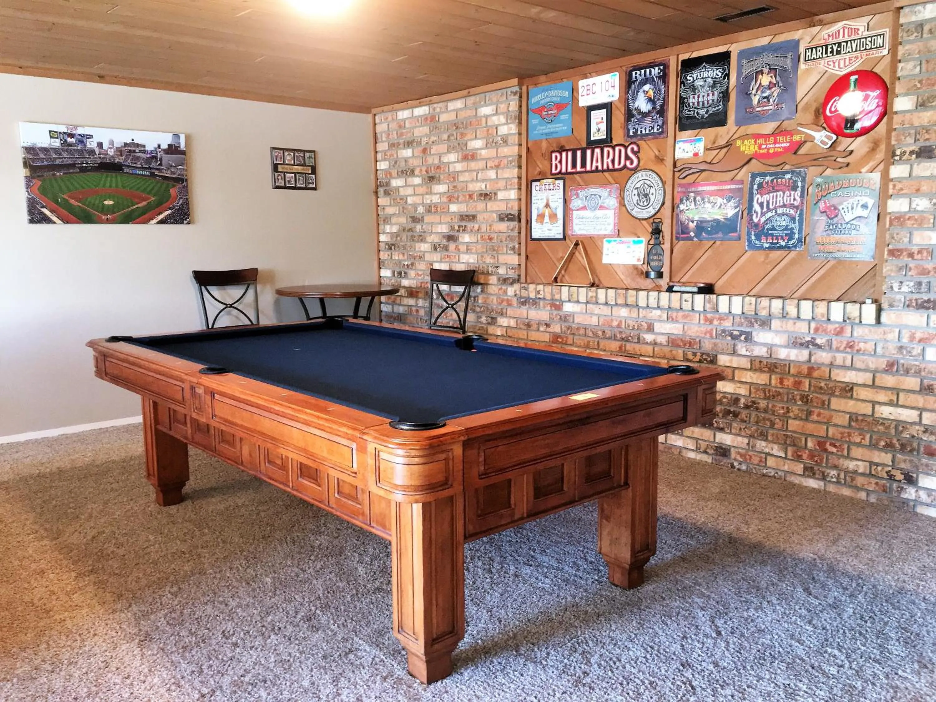 Billiard in Priceless Black Hills View