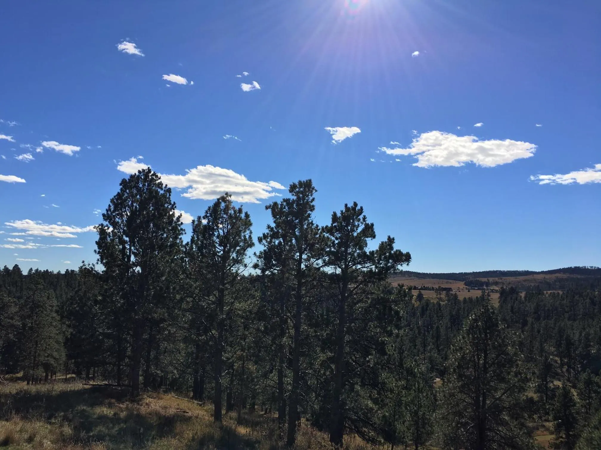Mountain view in Priceless Black Hills View