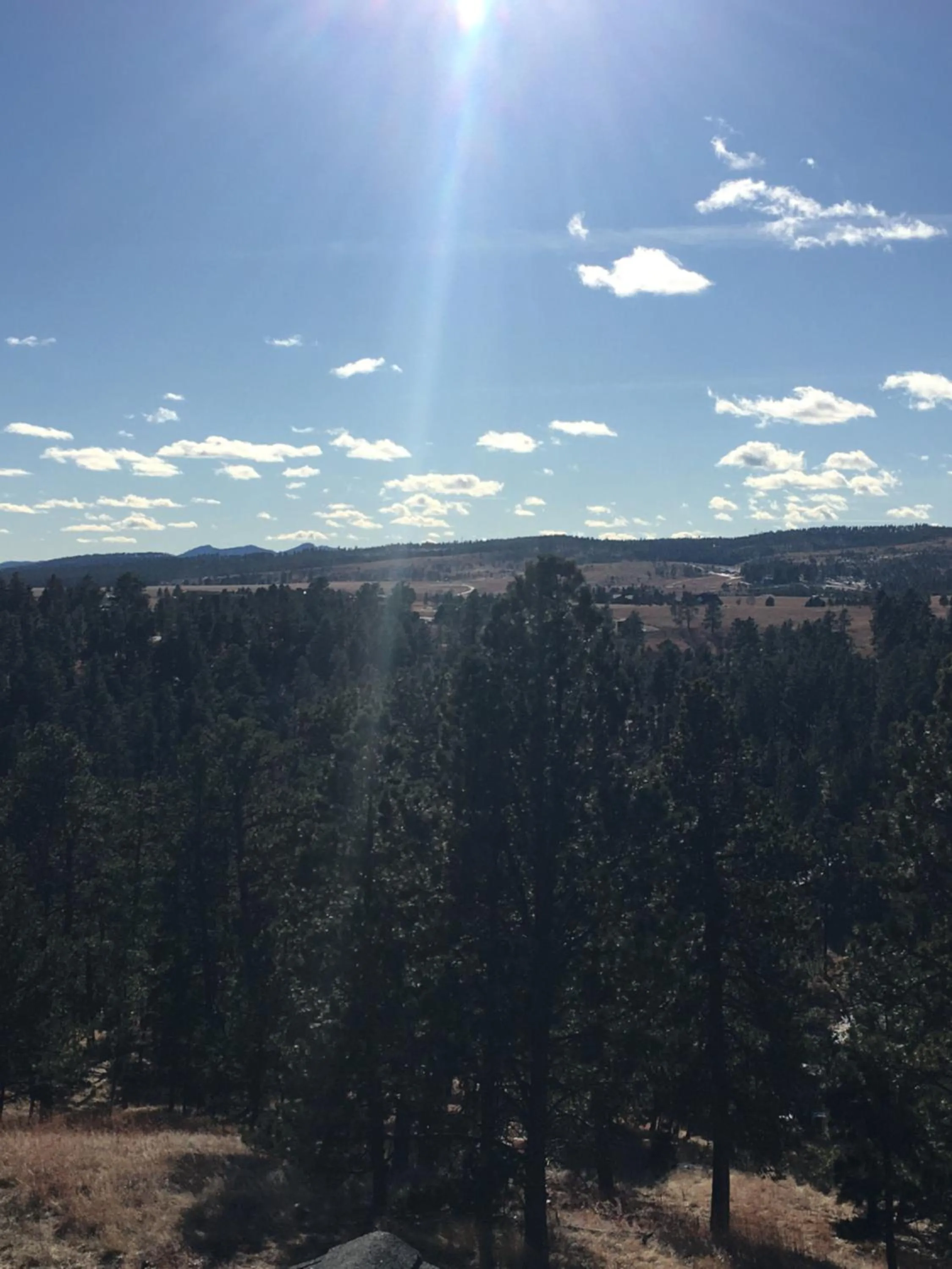 Patio in Priceless Black Hills View