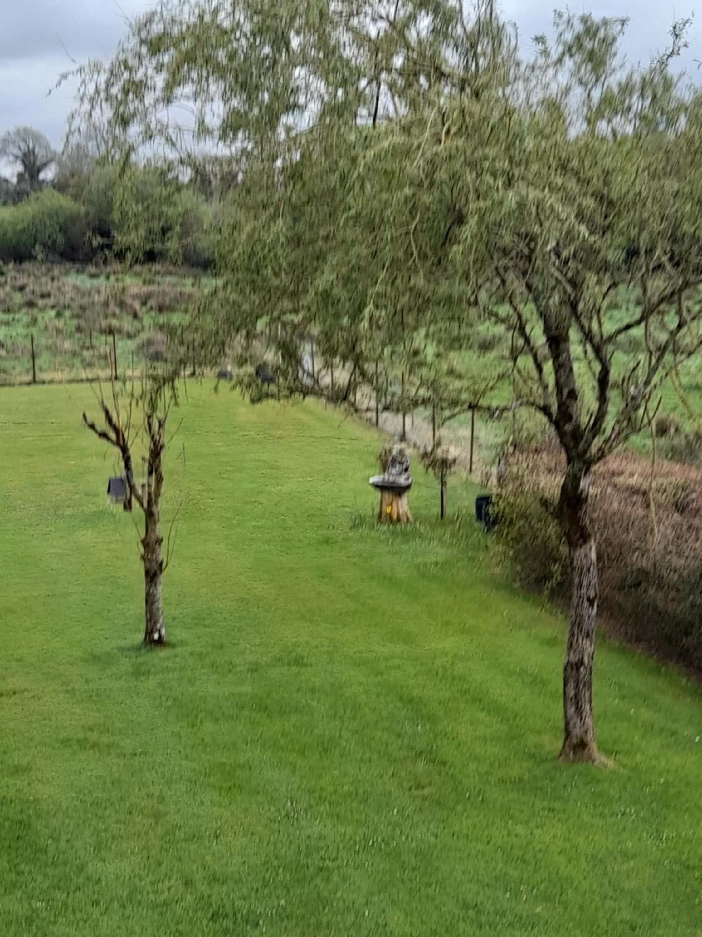 Garden view in Cloghan Lodge