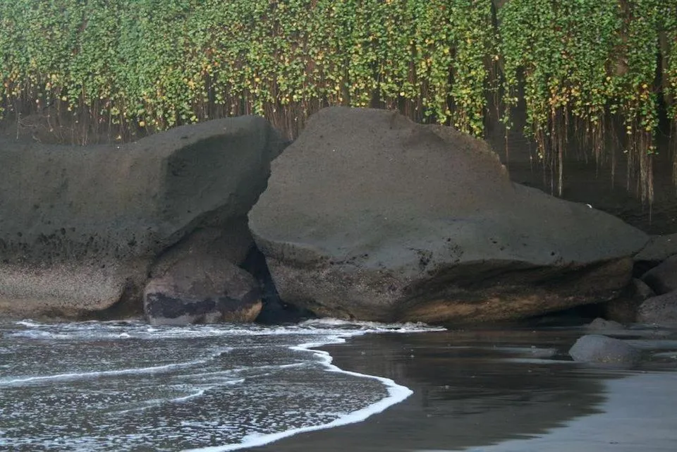 Natural landscape in Istana Balian - Boutique Hotel Resort