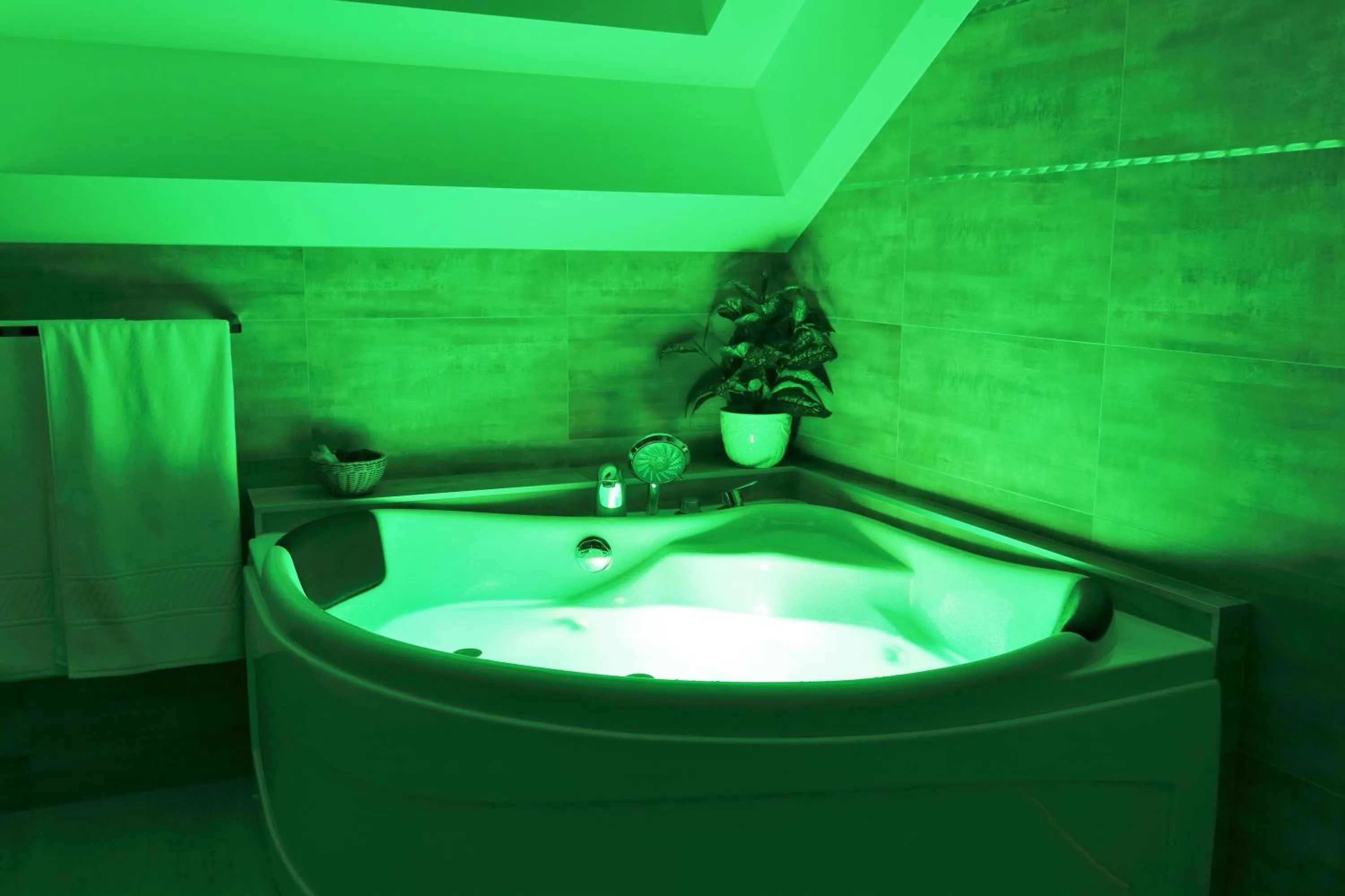 Spa and wellness centre/facilities in Le Mas Champenois