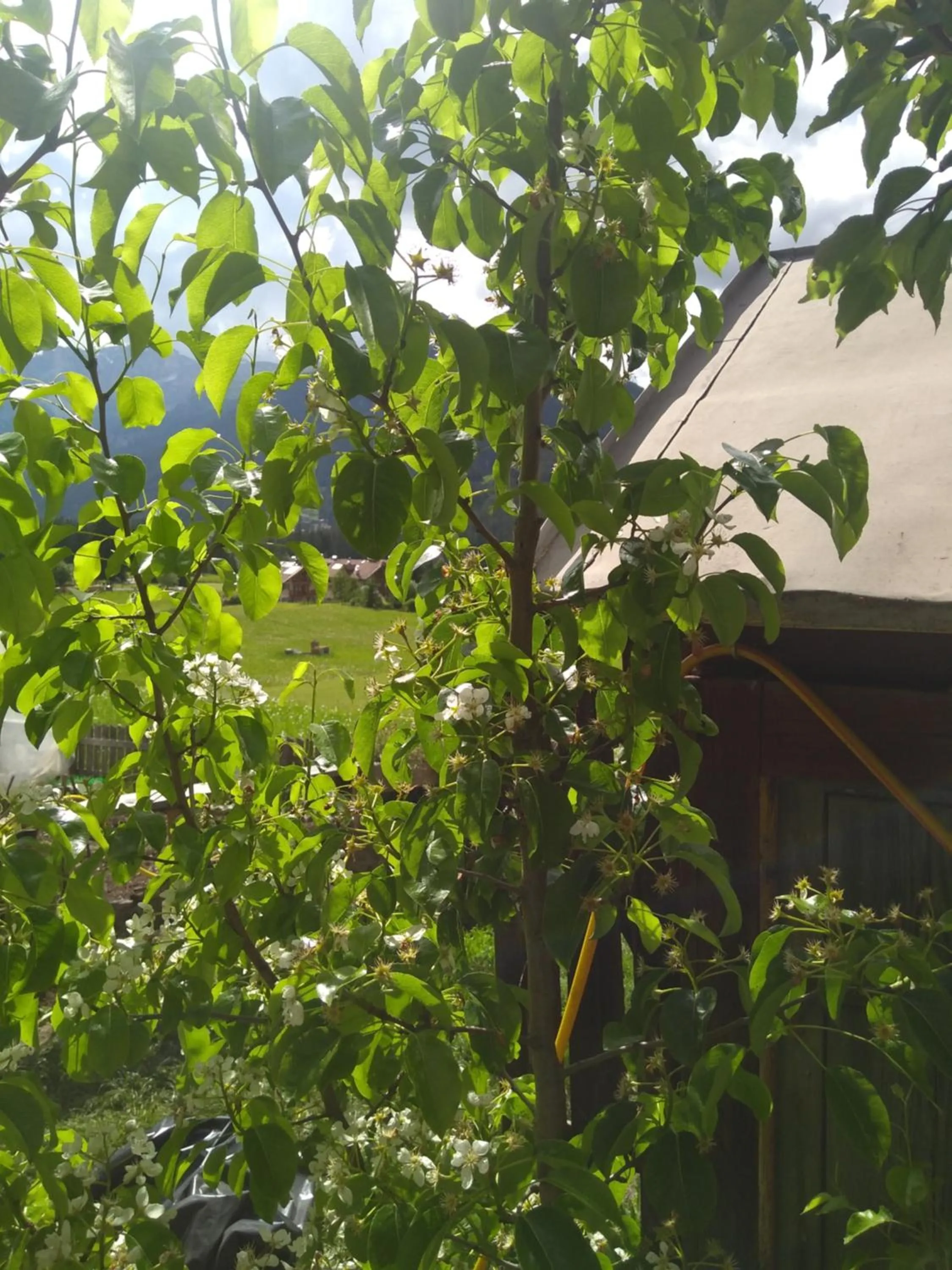 On site in Cianbolpin Guesthouse
