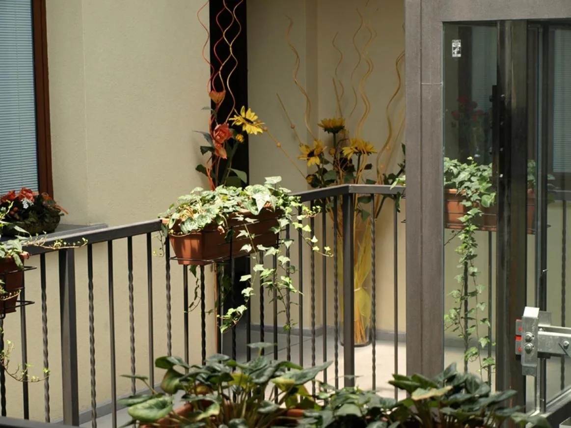 Area and facilities in Hotel Karol