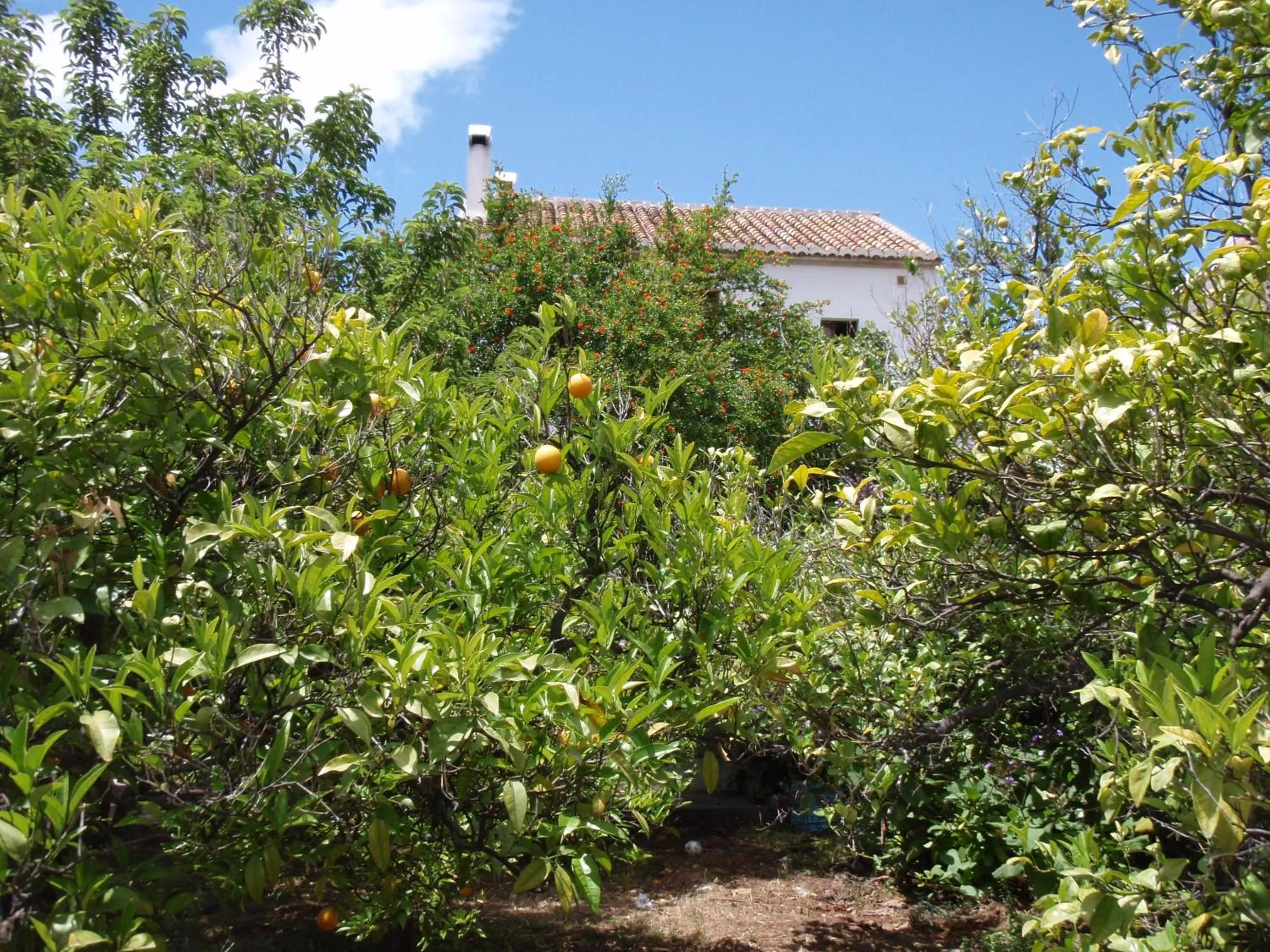 Casa de la Fuente