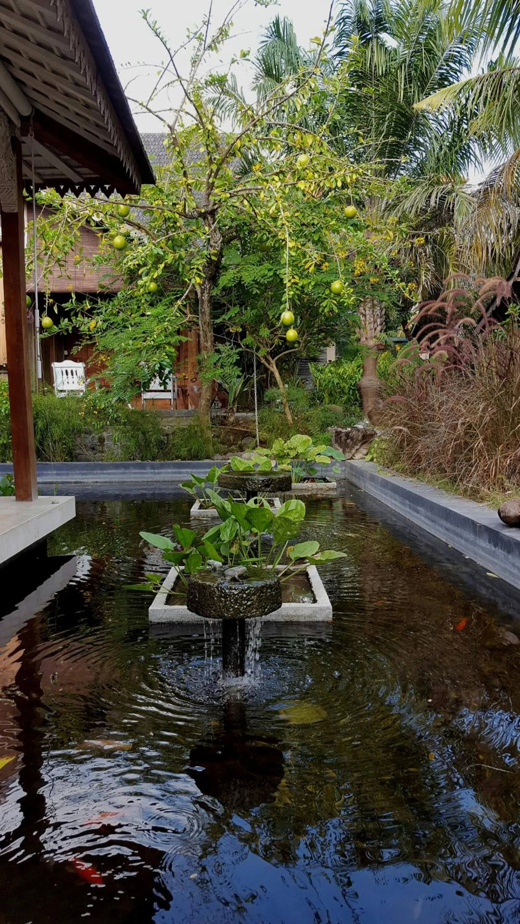Garden in Wayang Retreat