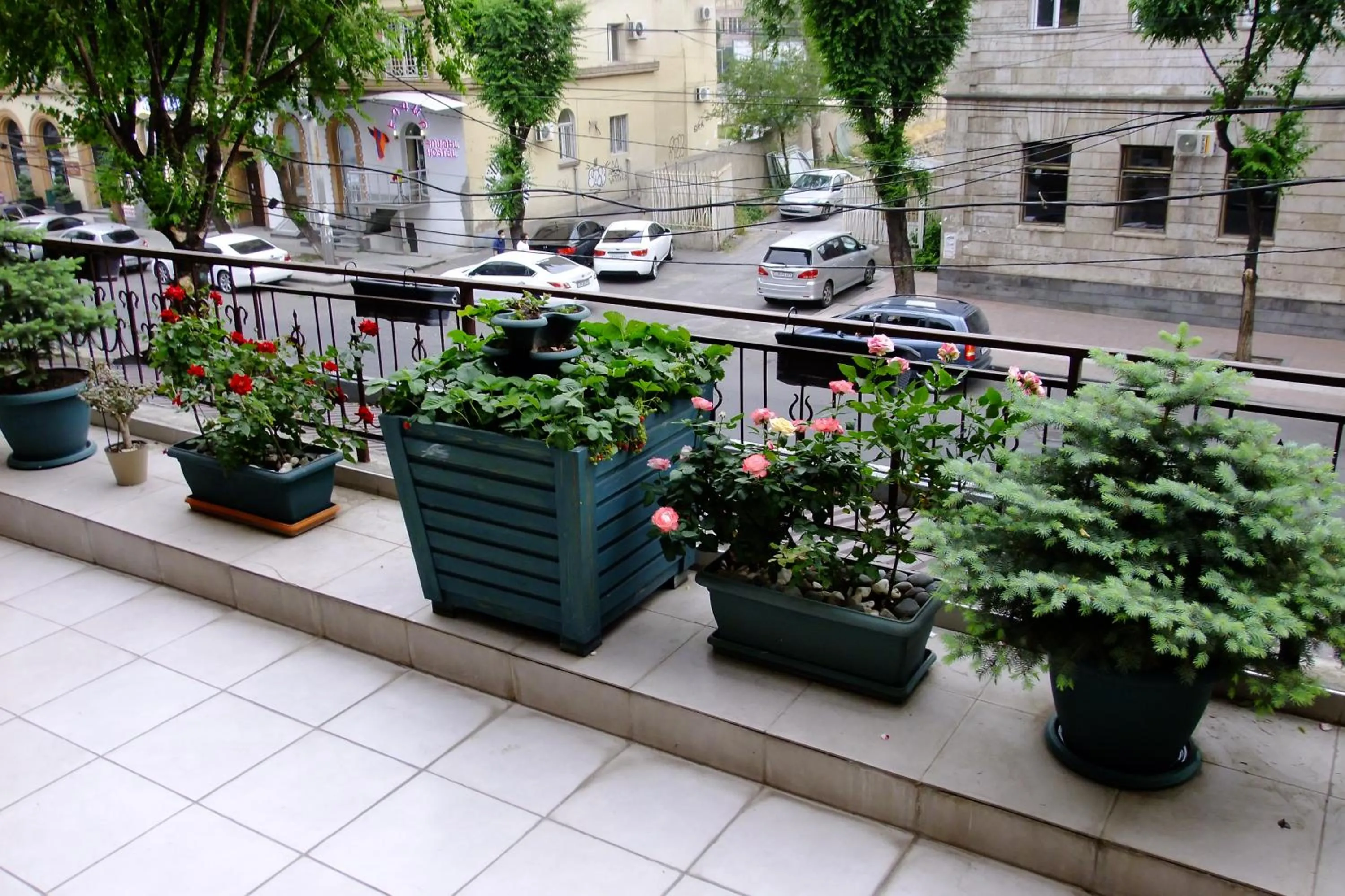 Garden in Yerevan center apartment 5A