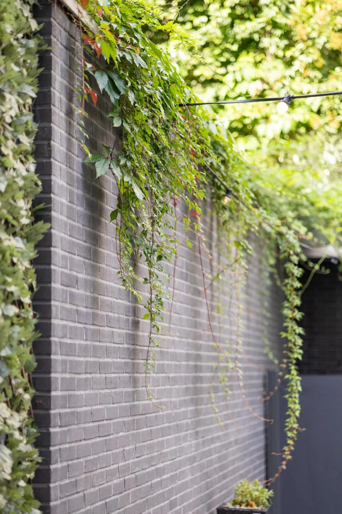 Garden in Holiday Inn Express Mechelen City Centre by IHG