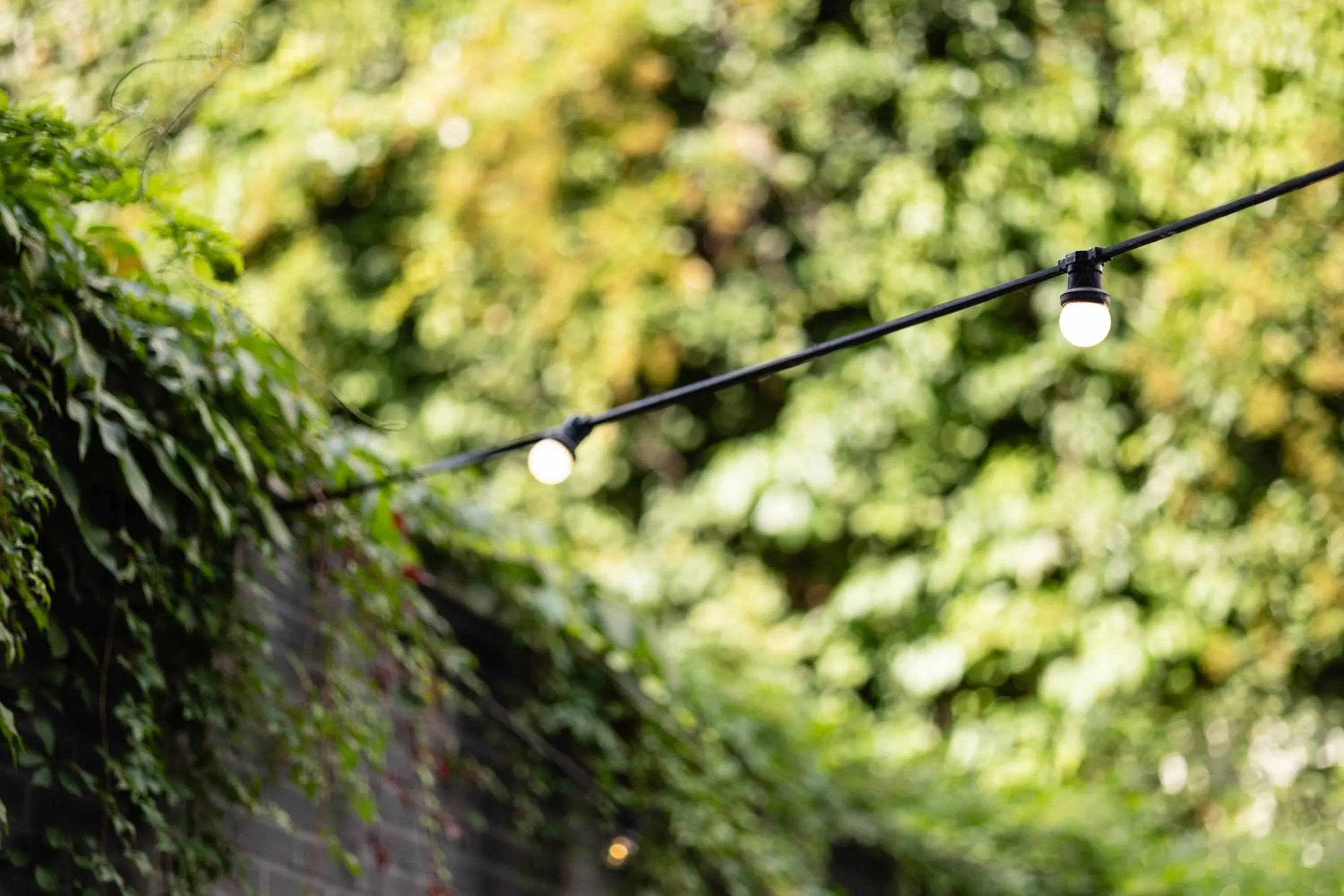 Garden in Holiday Inn Express Mechelen City Centre by IHG