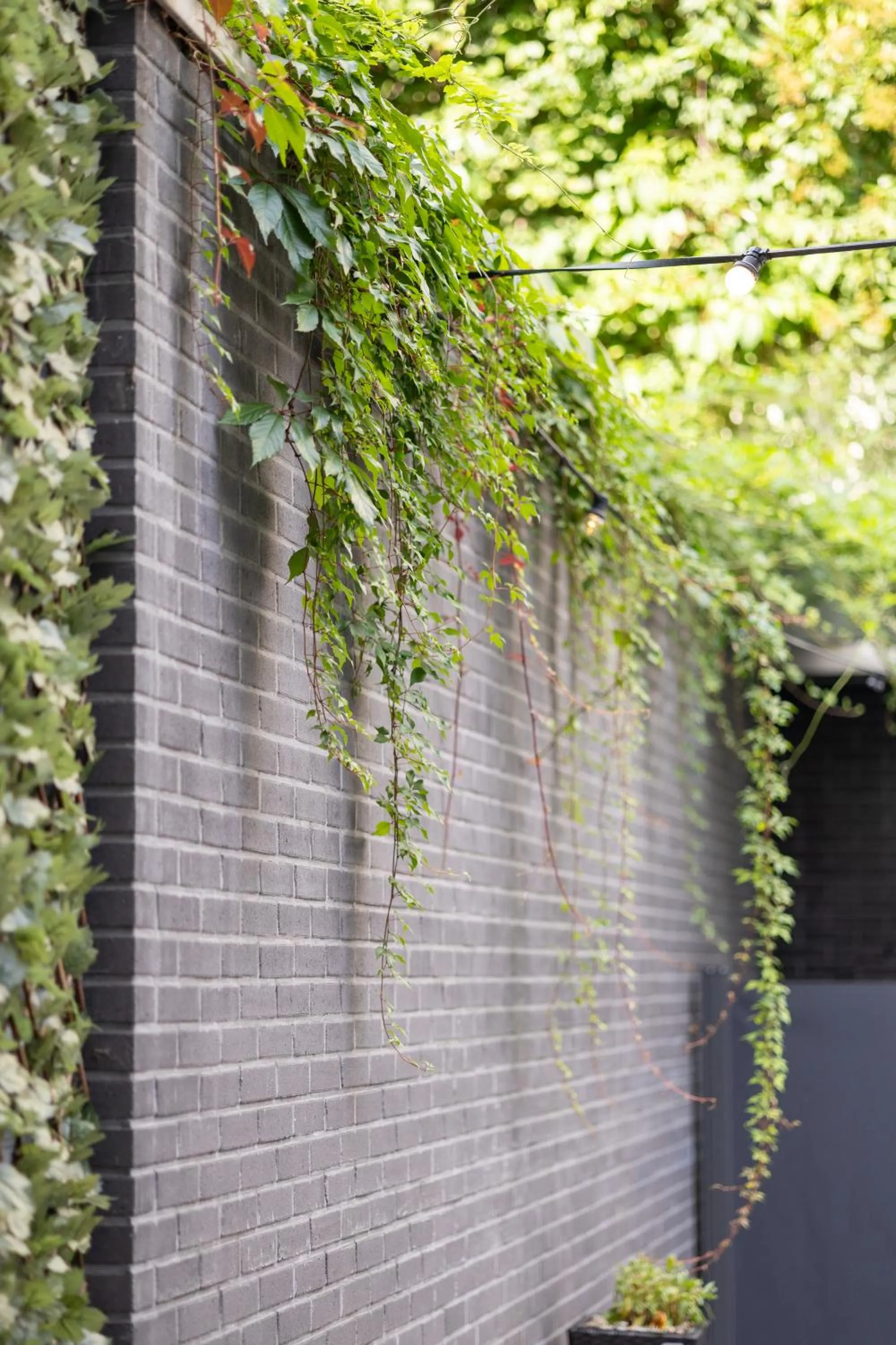 Garden in Holiday Inn Express Mechelen City Centre by IHG