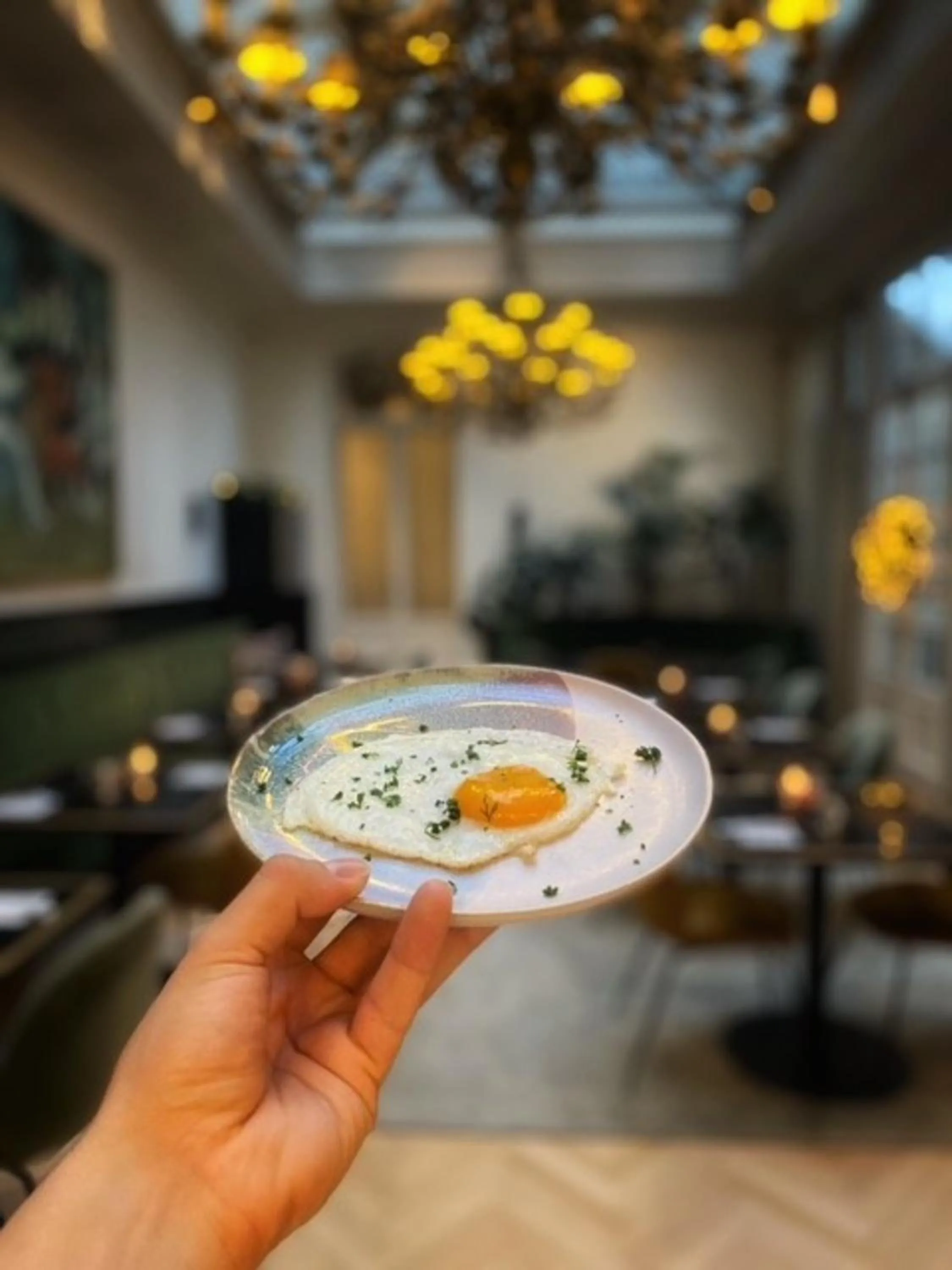 Breakfast in Hotel Damier Kortrijk