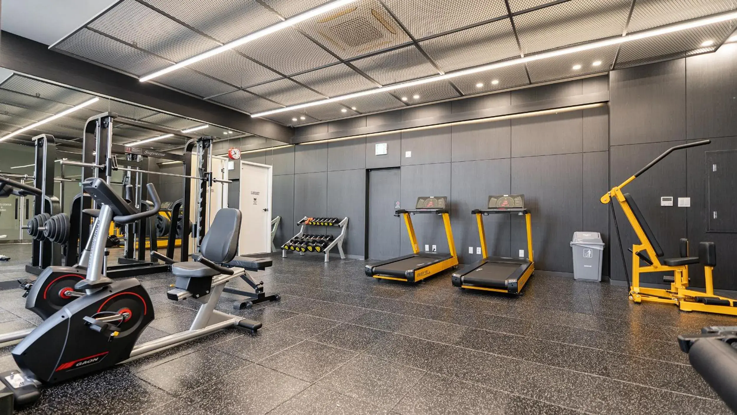 Fitness centre/facilities in Hotel Schweizer Dorf Cheonan Fitness centre/facilities in Hotel Schweizer Dorf Cheonan