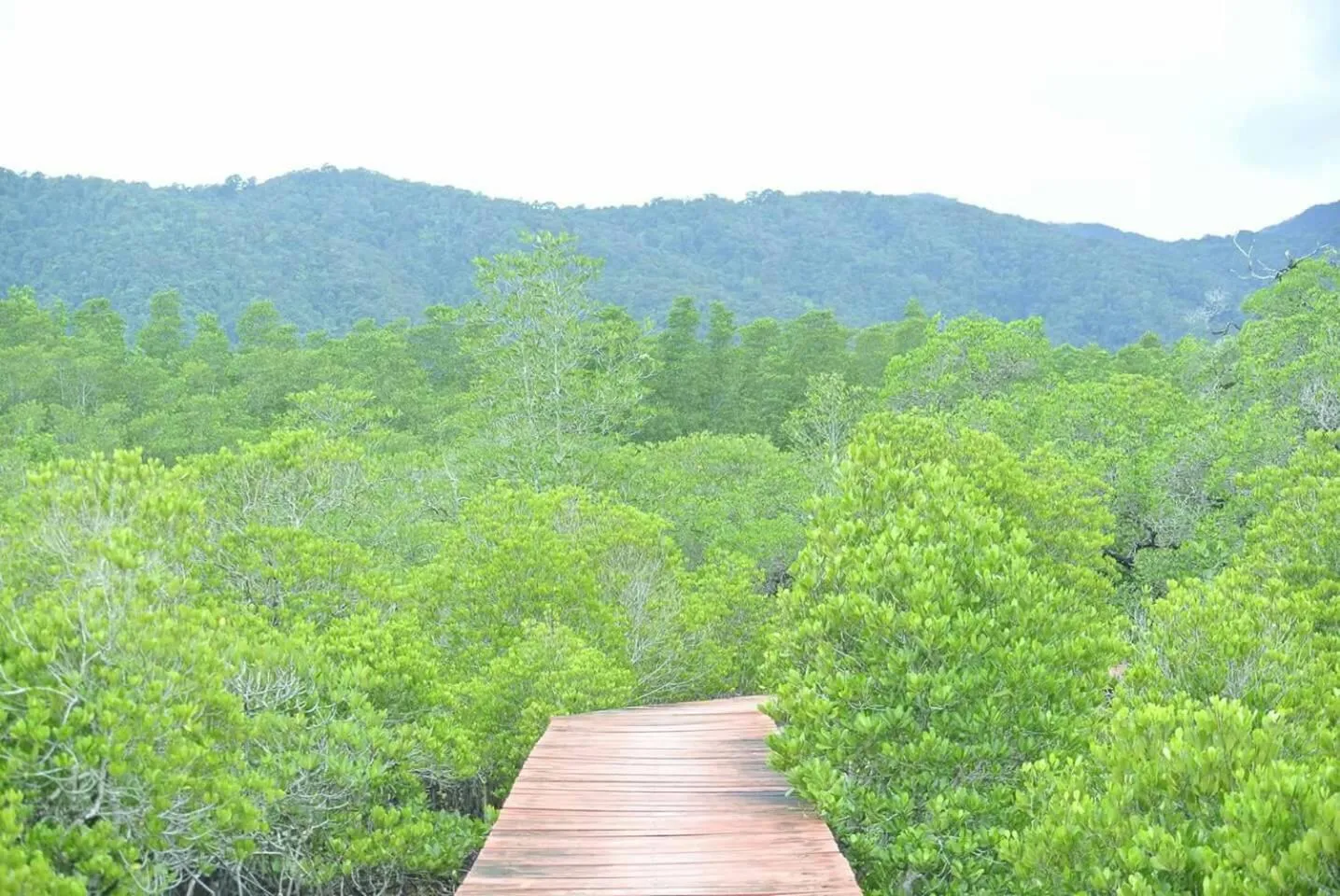 Natural landscape in Baan Chan Lay Koh Chang