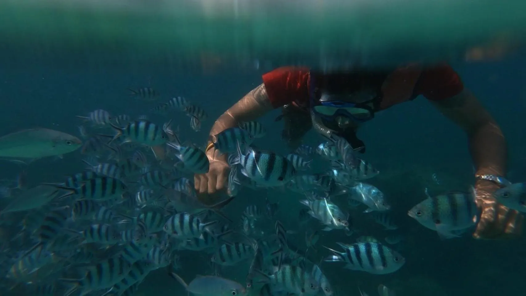 Snorkeling in Baan Chan Lay Koh Chang