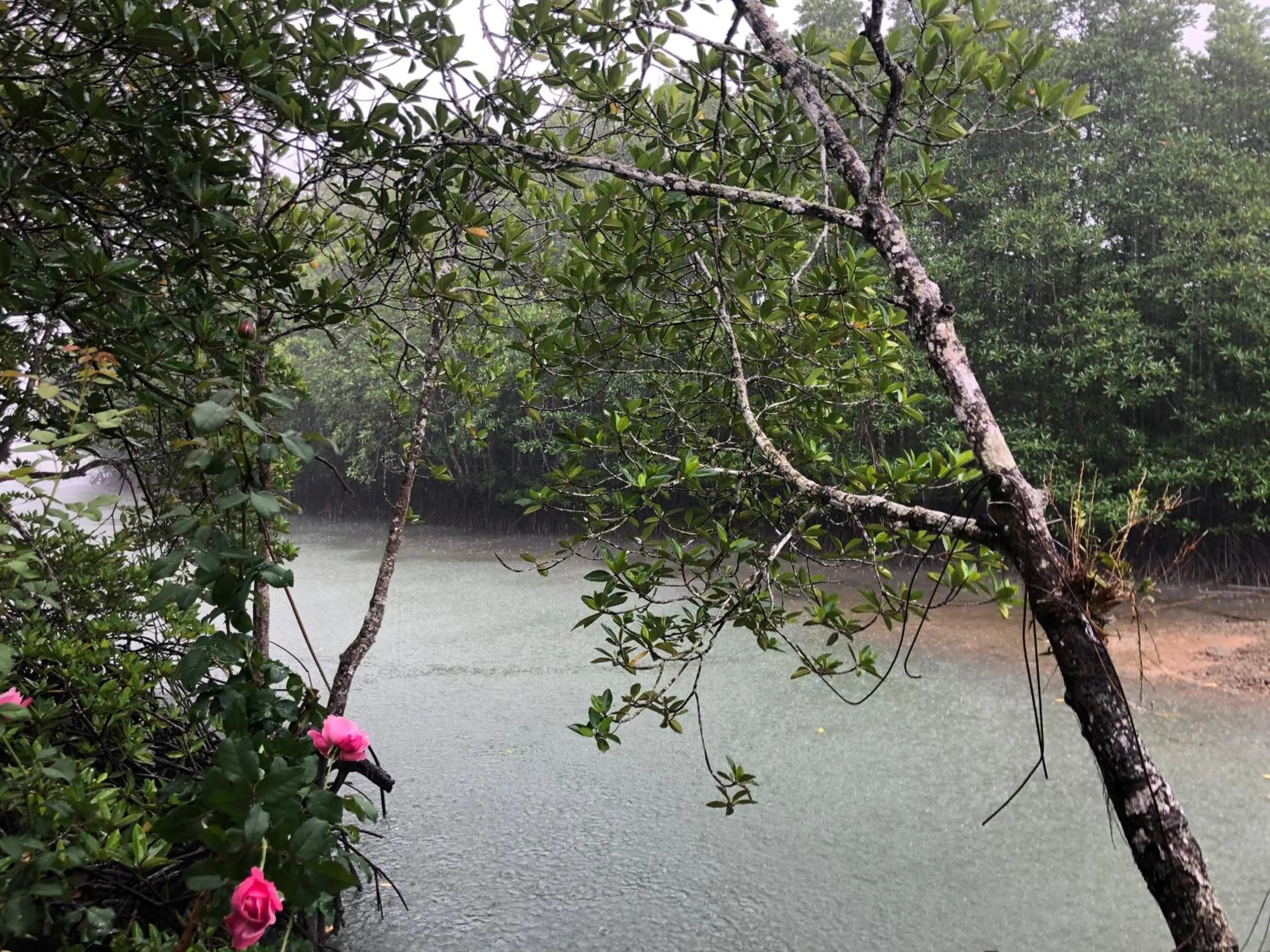 Property building in Baan Chan Lay Koh Chang