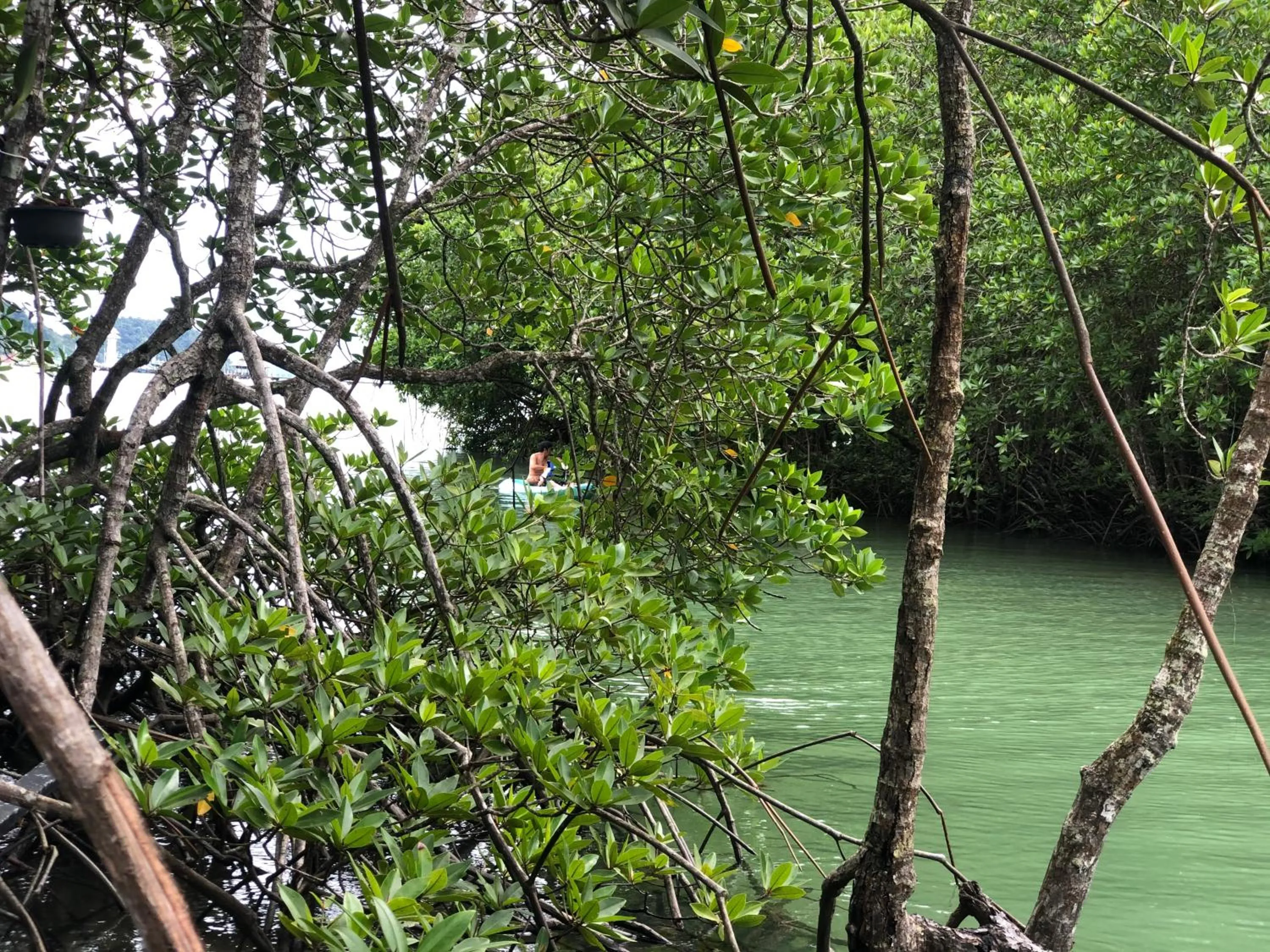 Property building in Baan Chan Lay Koh Chang