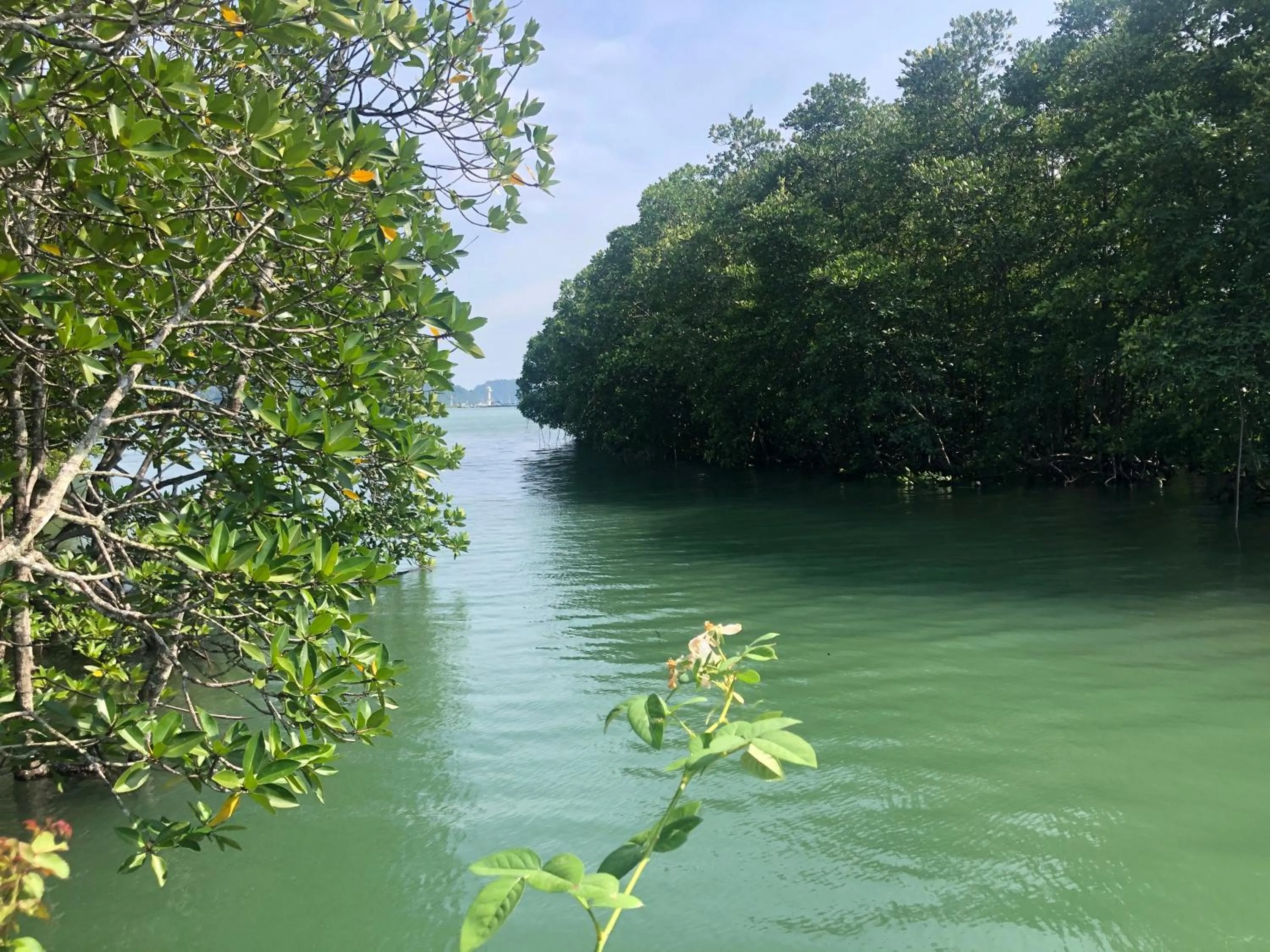 Property building in Baan Chan Lay Koh Chang