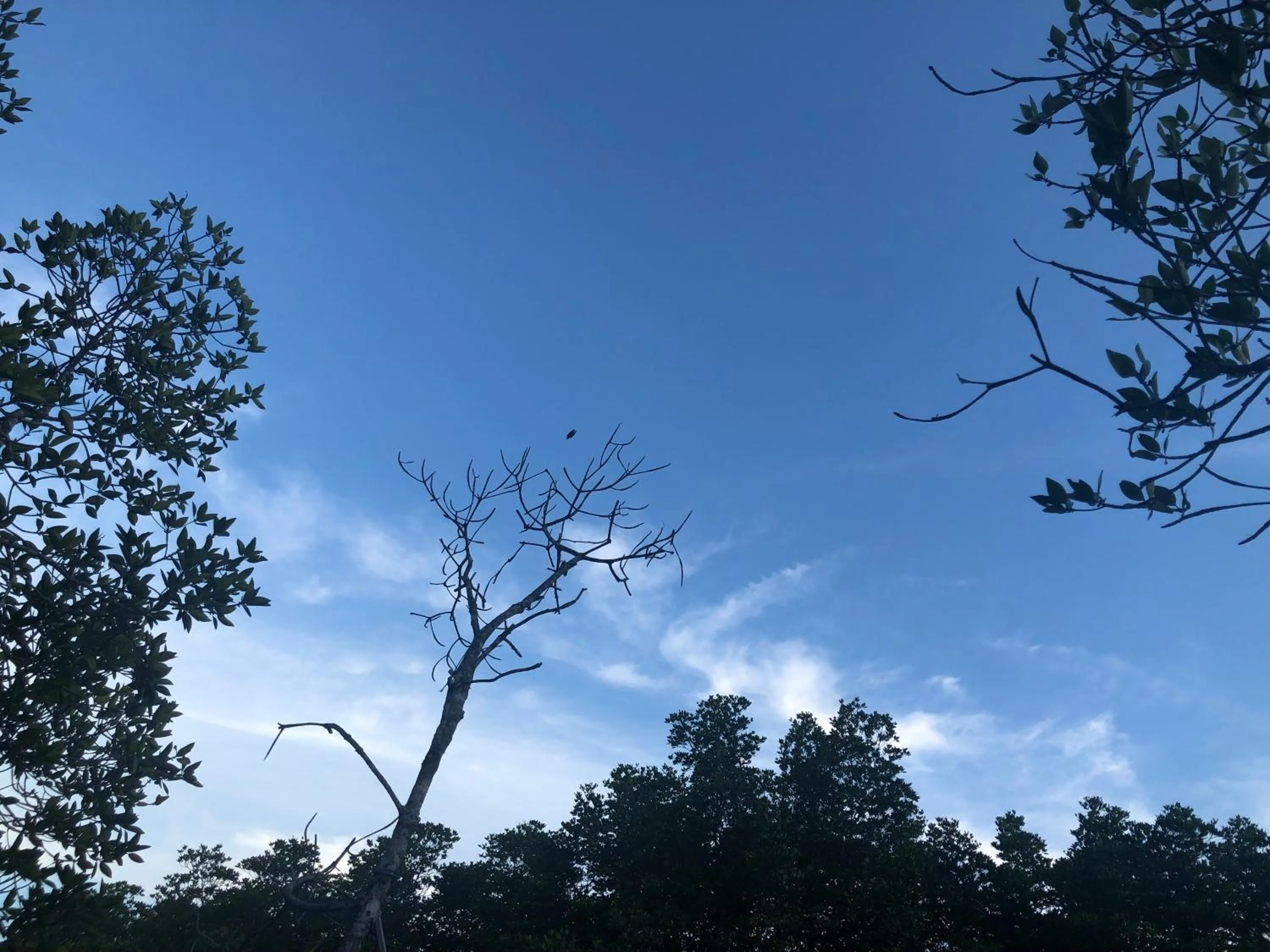 Property building in Baan Chan Lay Koh Chang