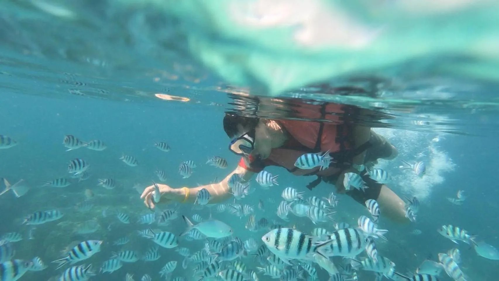 Snorkeling in Baan Chan Lay Koh Chang