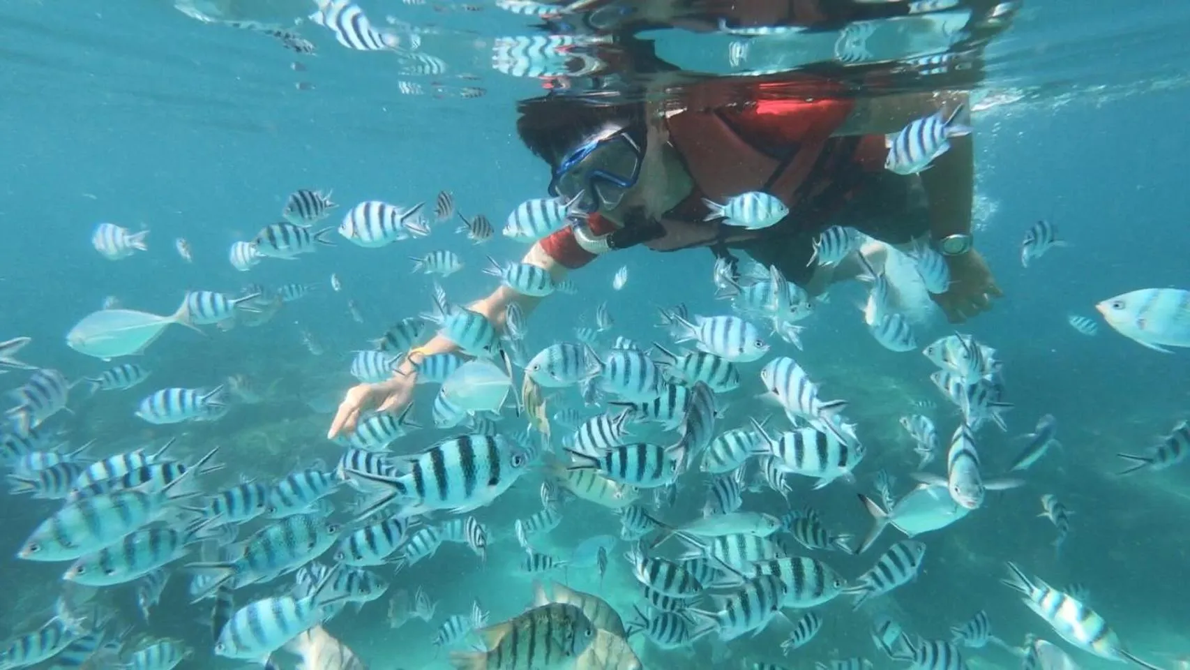 Snorkeling in Baan Chan Lay Koh Chang