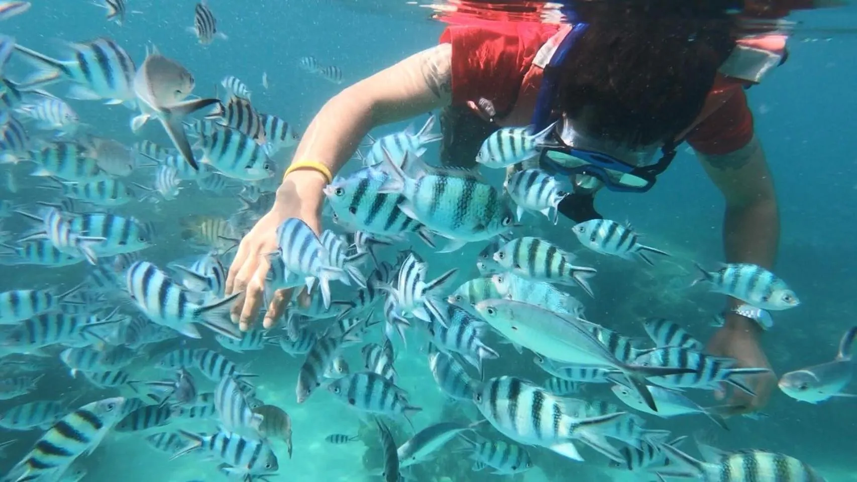 Snorkeling in Baan Chan Lay Koh Chang