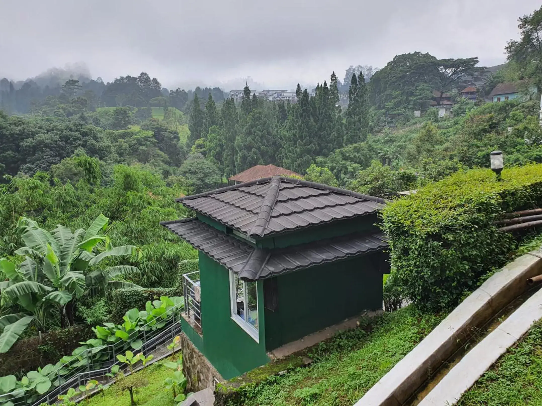 Hotel Ariandri Puncak Hotel Ariandri Puncak