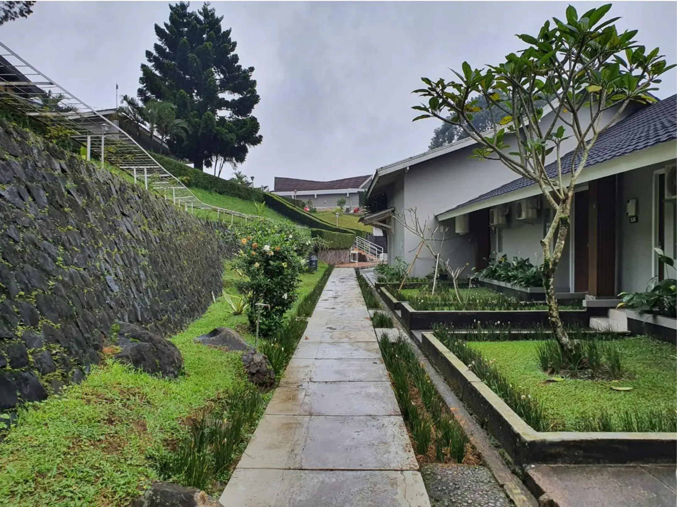 Hotel Ariandri Puncak Hotel Ariandri Puncak