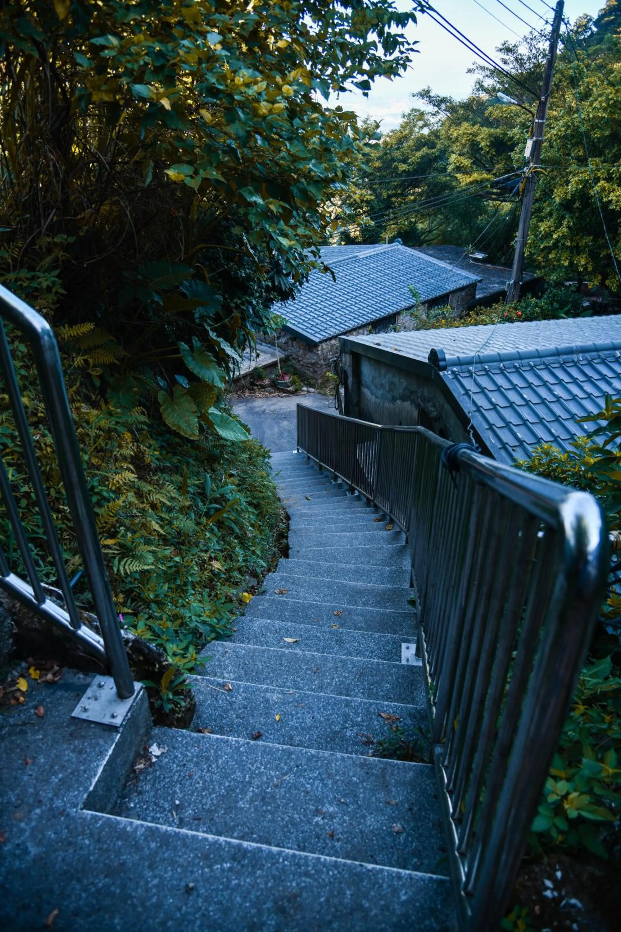 Property building in Way Young House