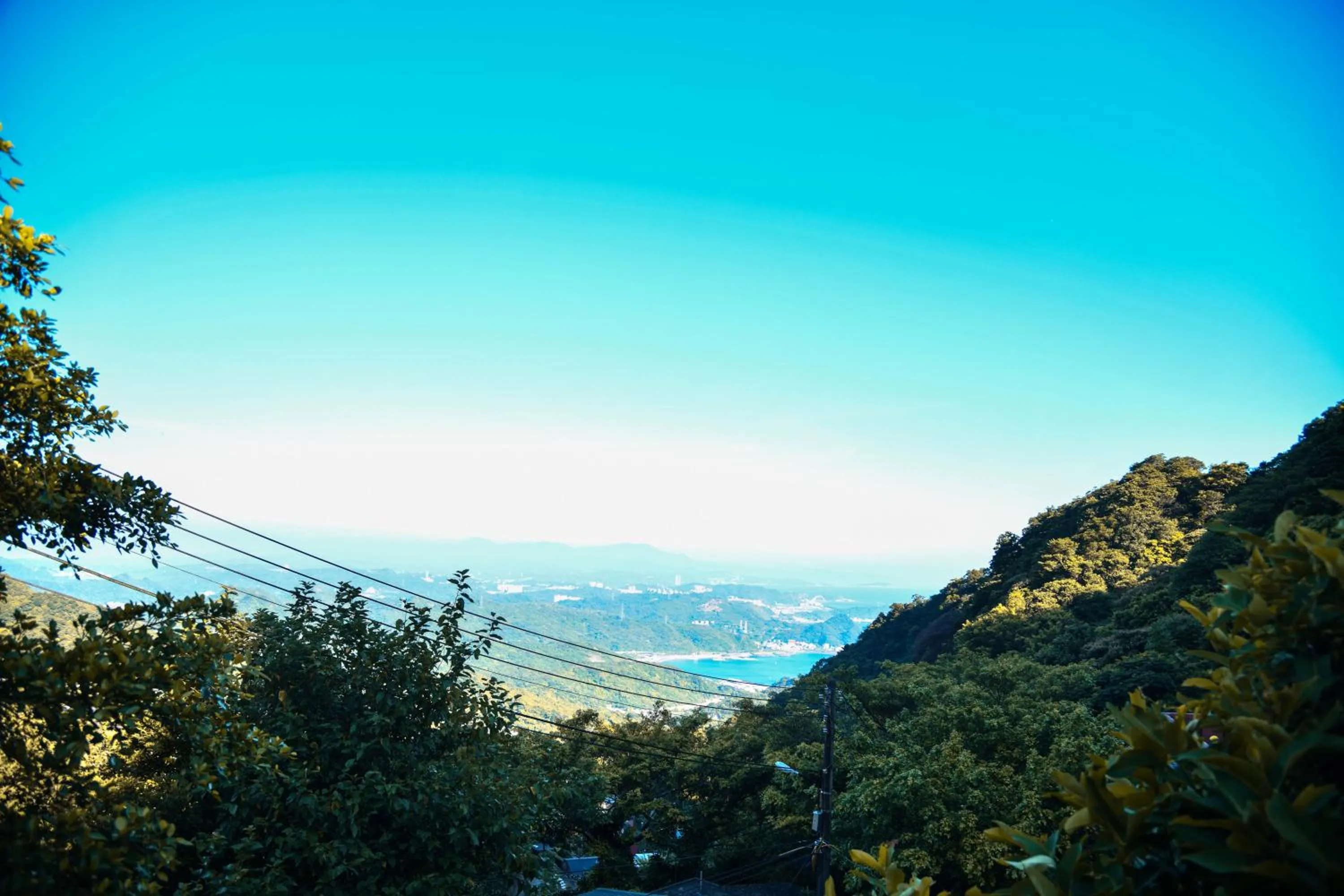 Property building in Way Young House