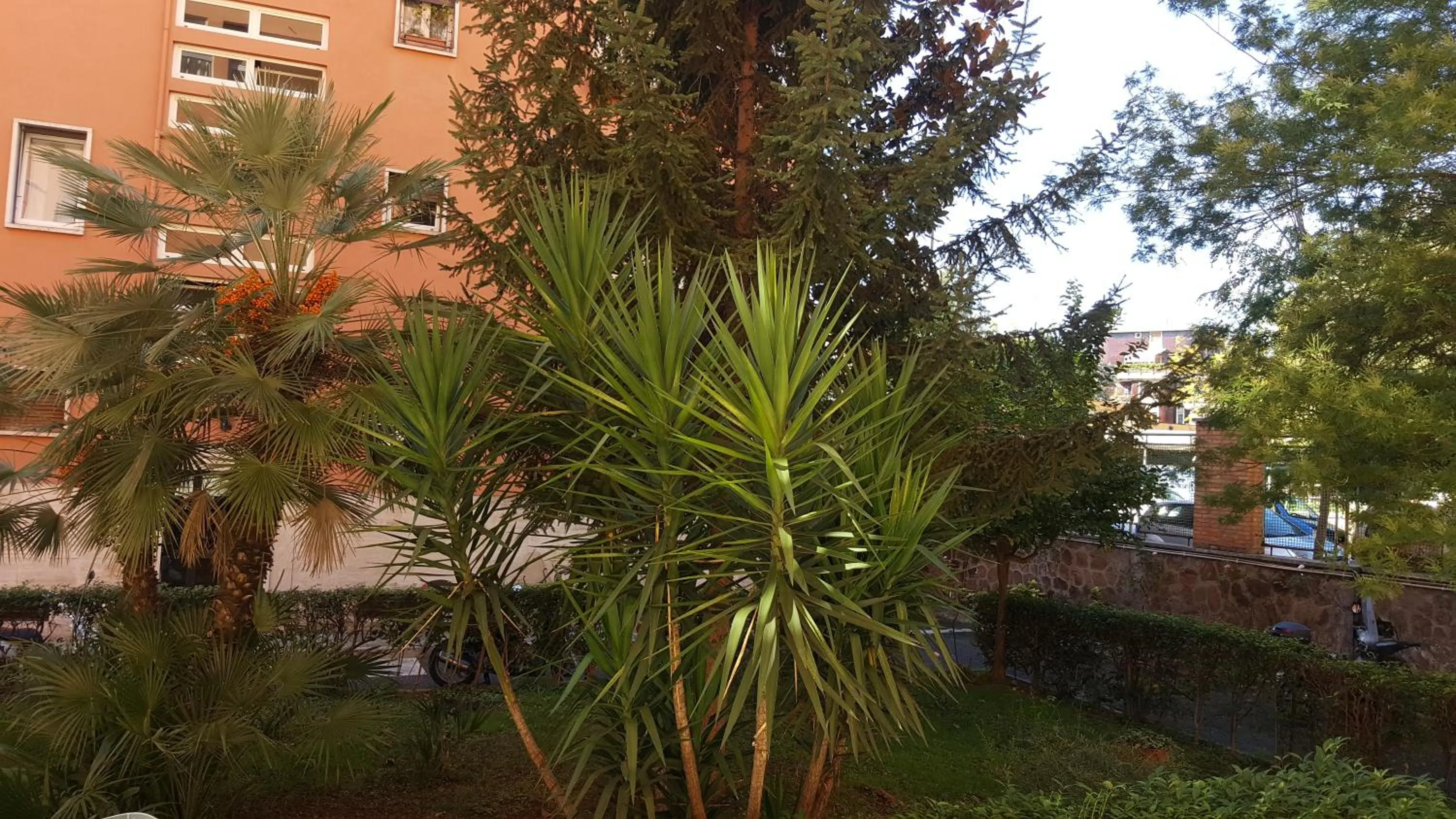 Garden in C'è posto per te