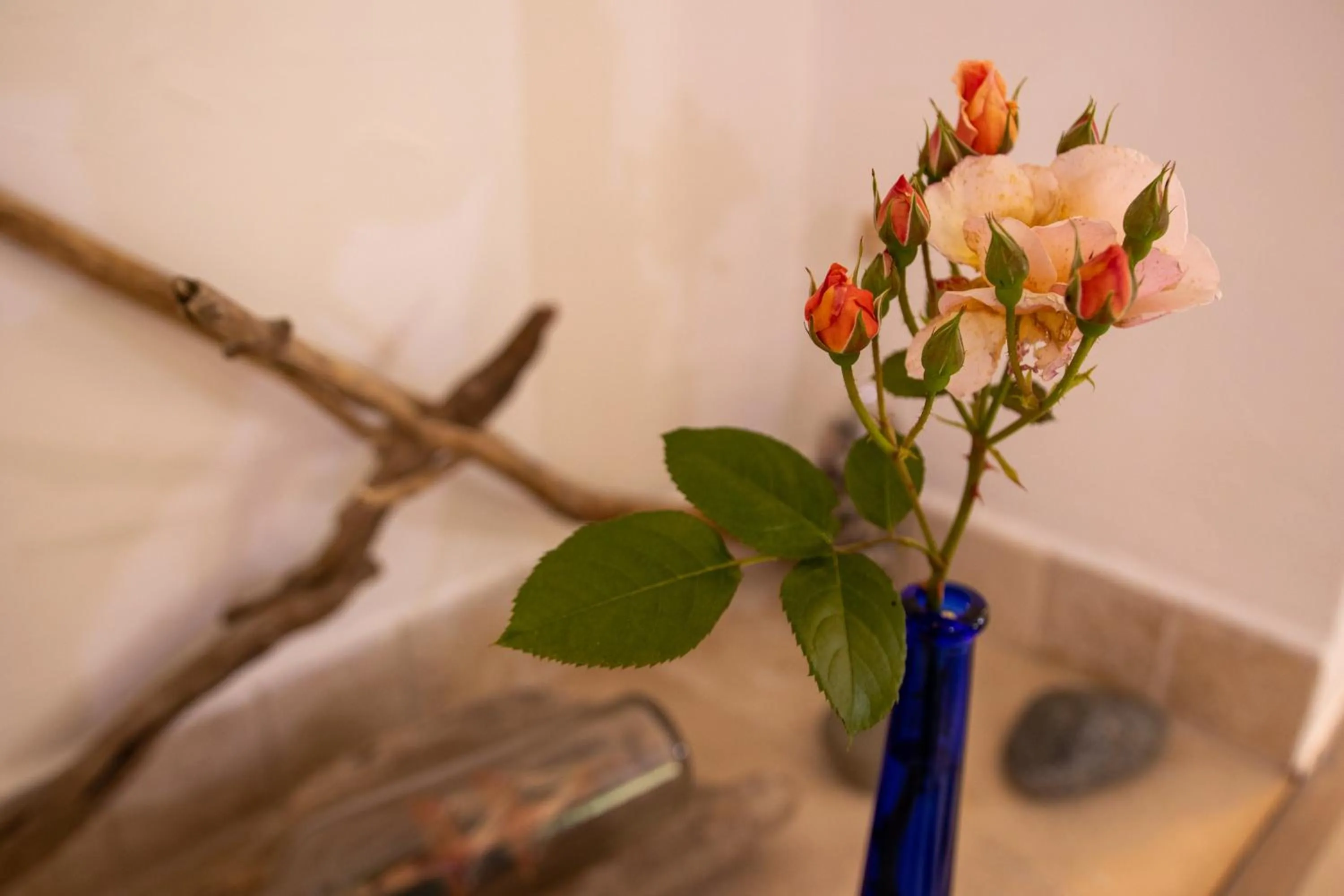 Decorative detail in Le Mazet de Tourrettes