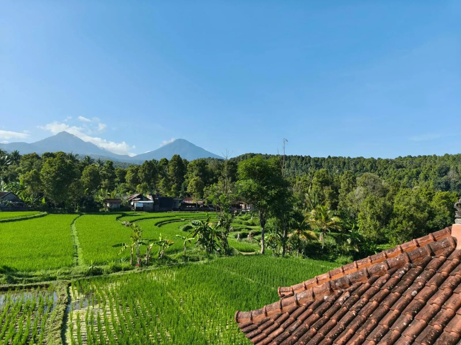Yoga Homestay