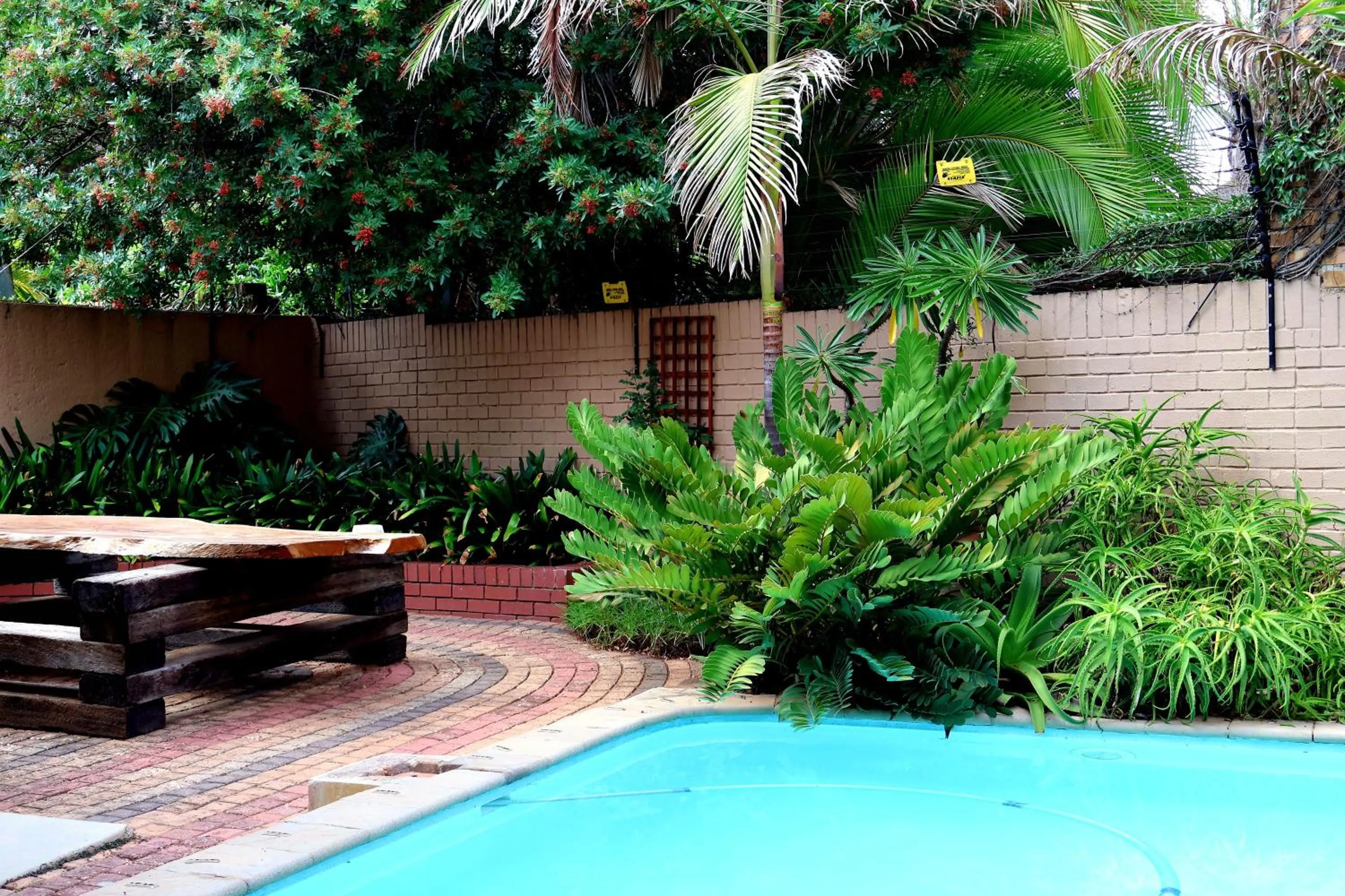 Swimming pool in The Leopard Tree