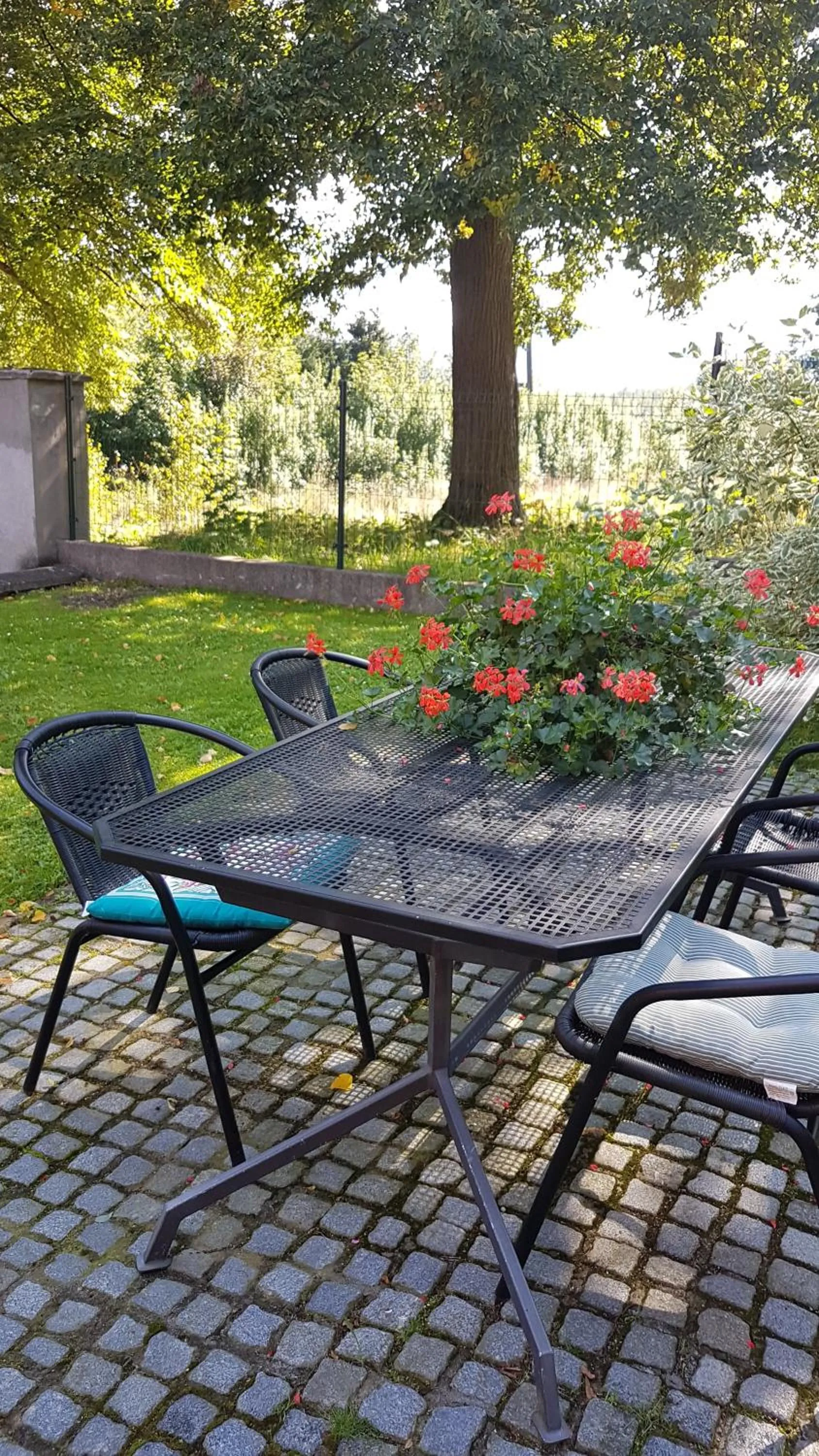 Garden in Willa Skalniak