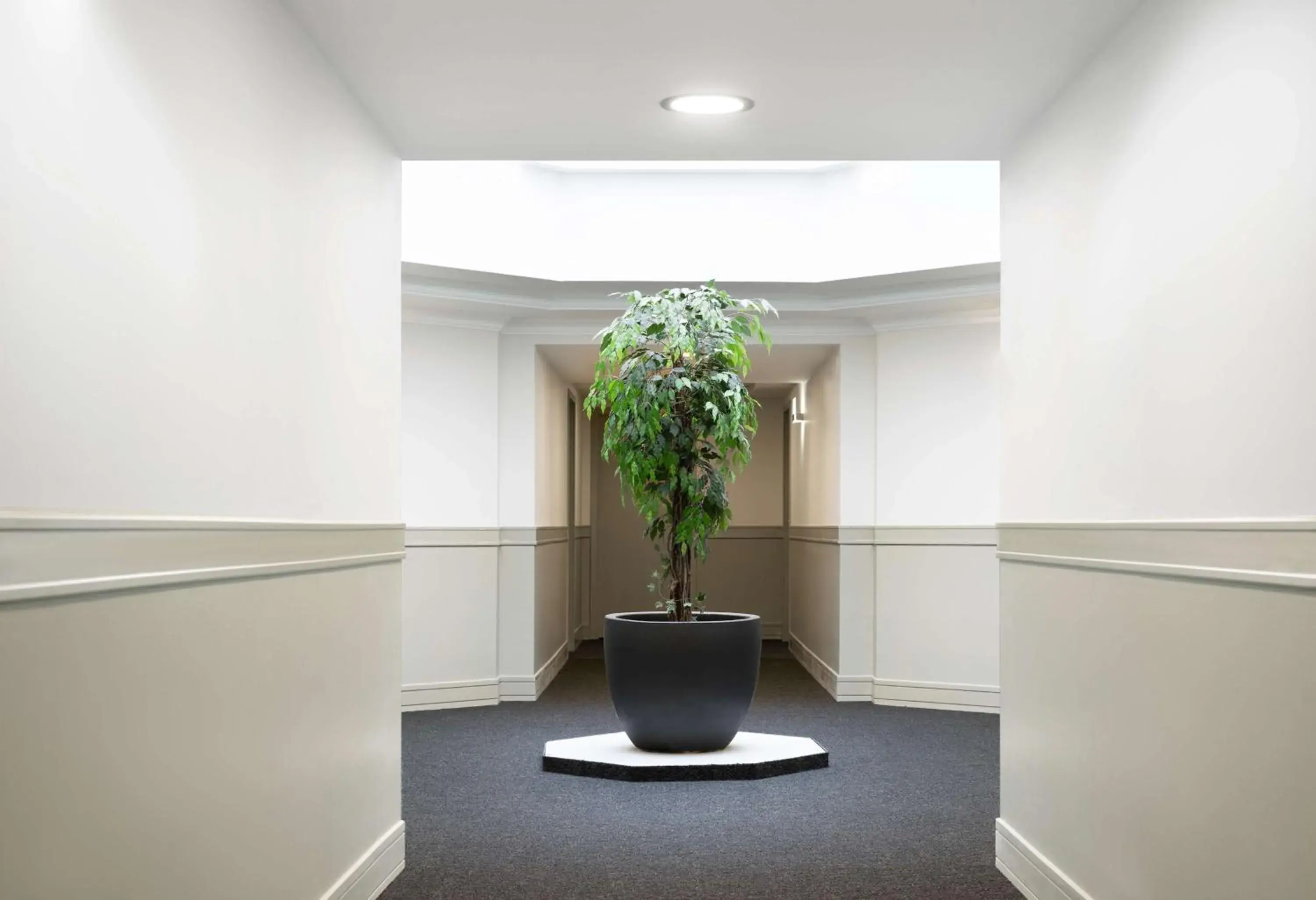 Property building in NH Brussels Carrefour de L’Europe Property building in NH Brussels Carrefour de L’Europe