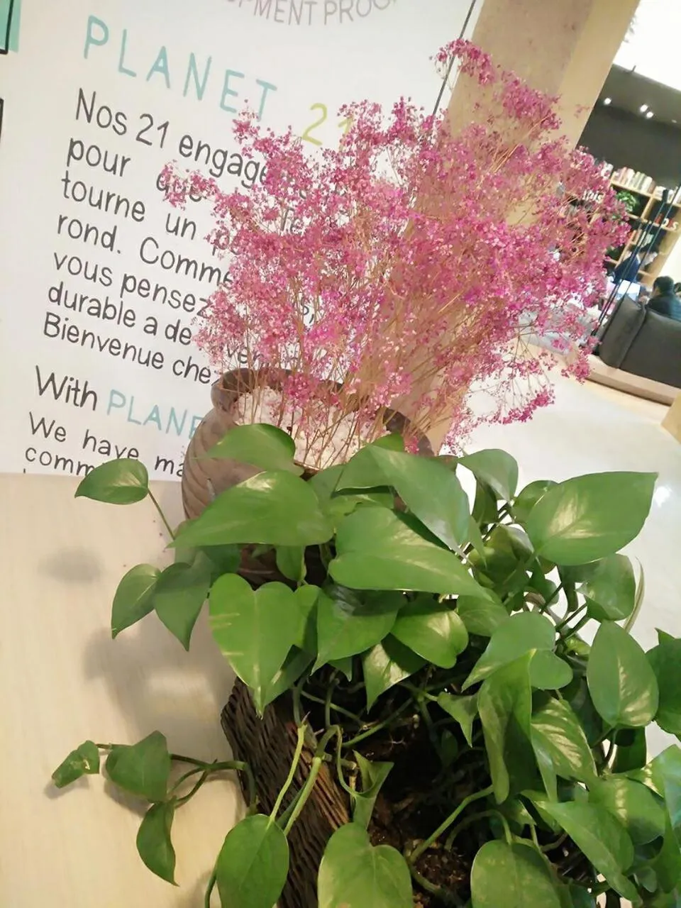 Property building in Ibis Shanghai New Hongqiao