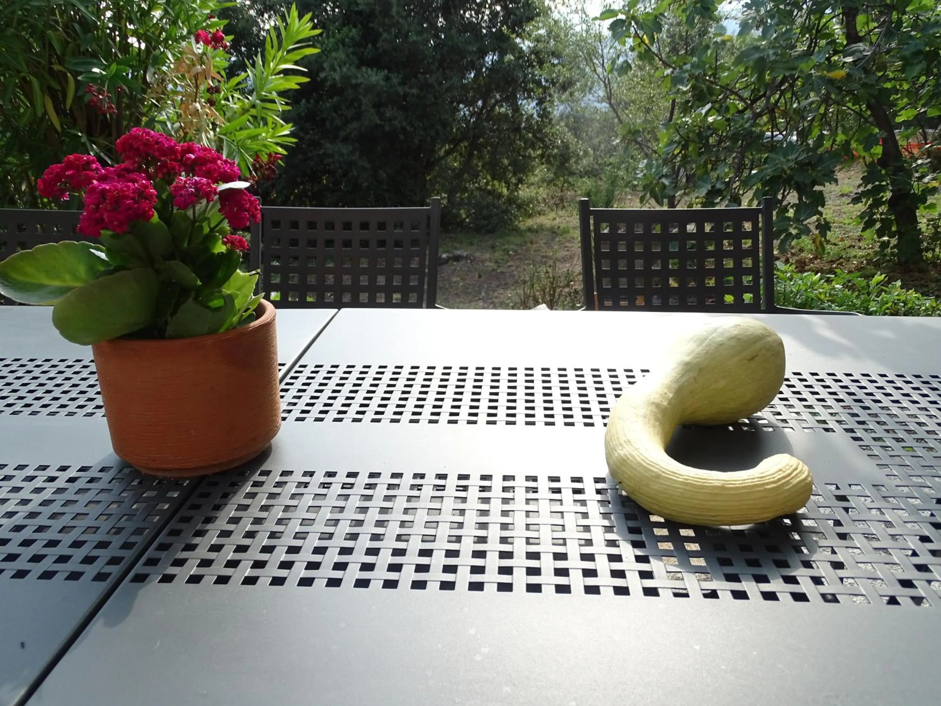 Garden in Ca Du Ventu