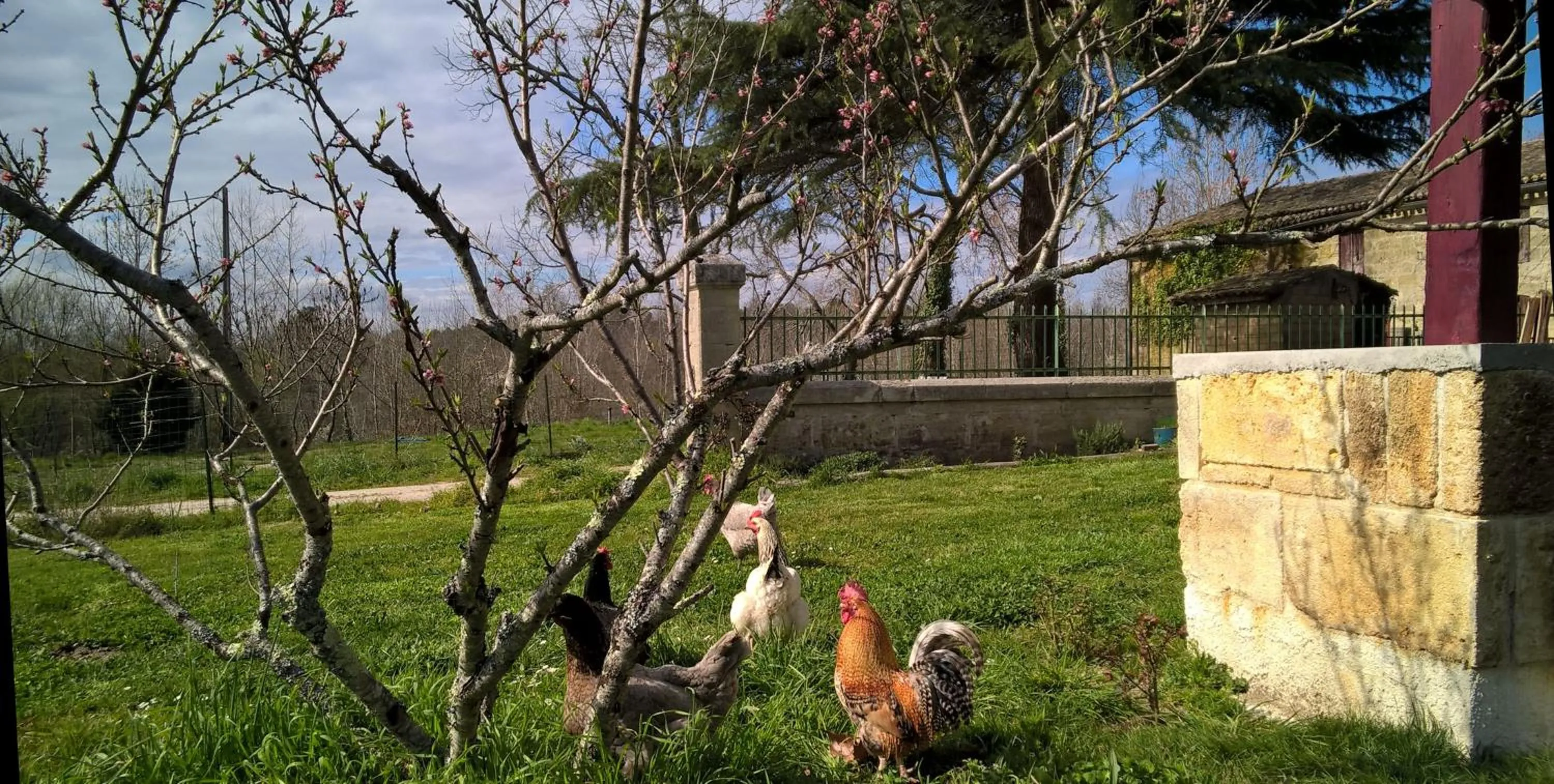 Garden in La Ferme du Ciel