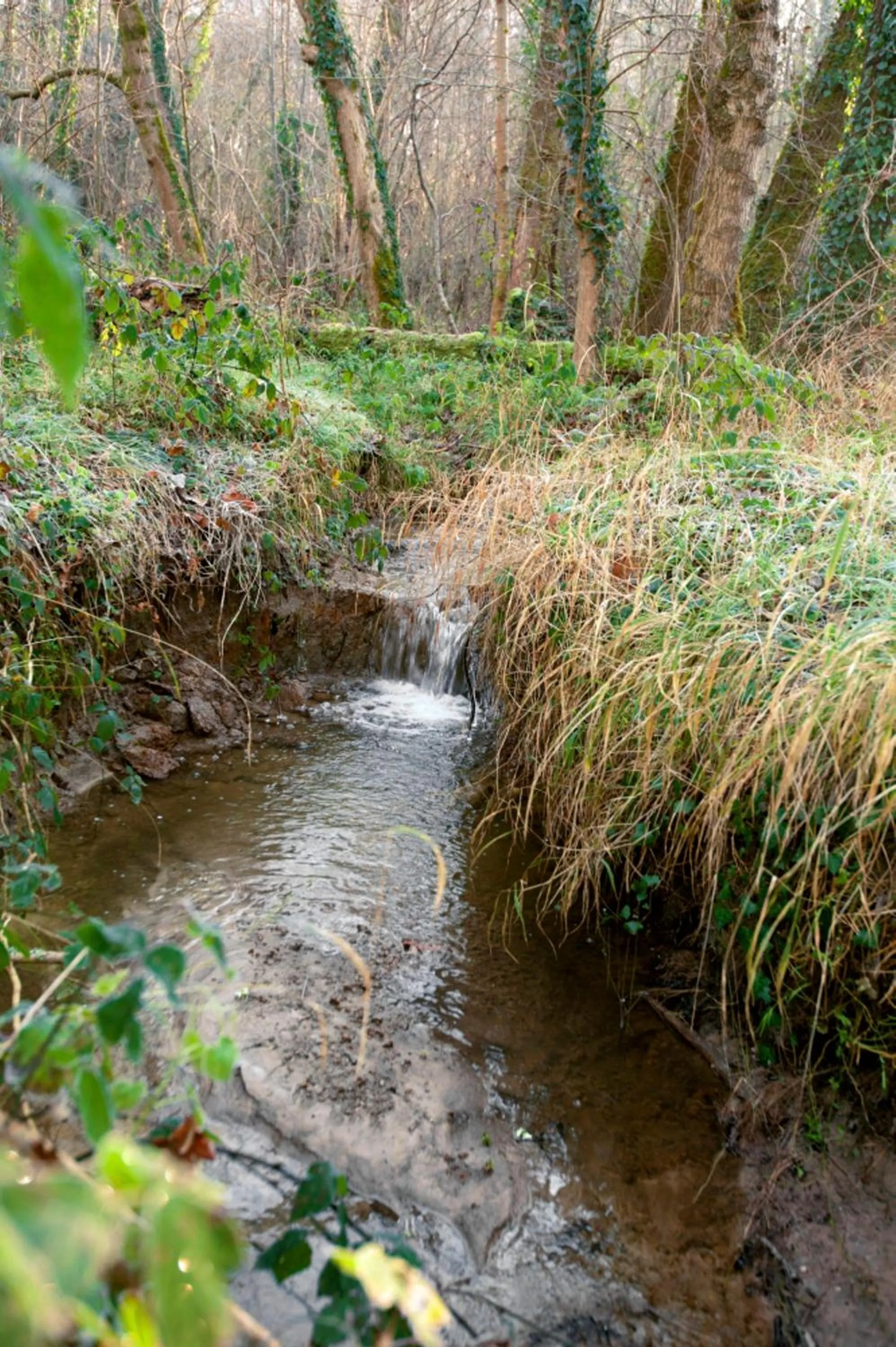 Hiking in La Ferme du Ciel