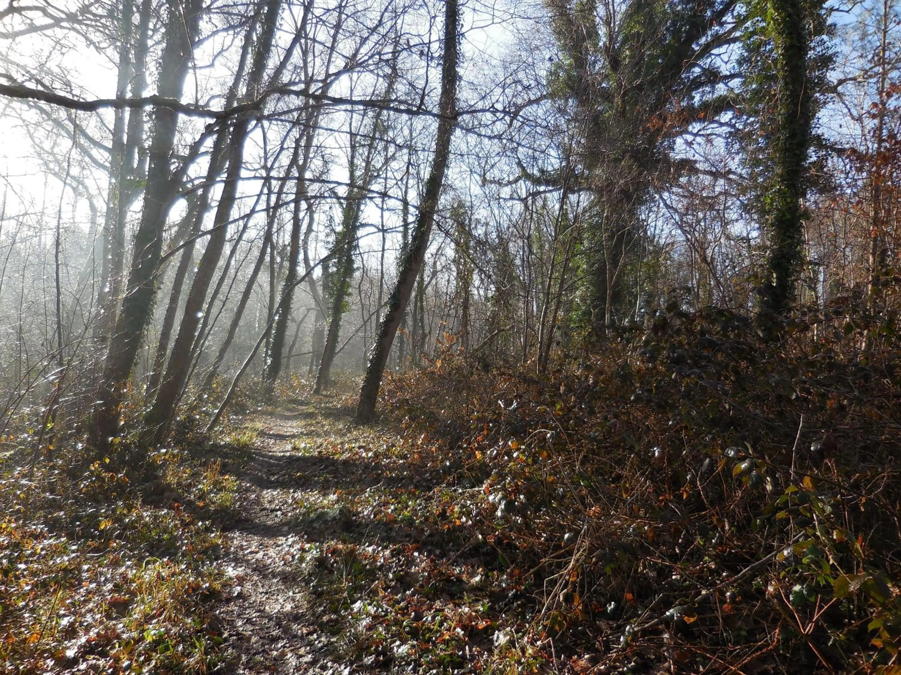 Garden in La Ferme du Ciel