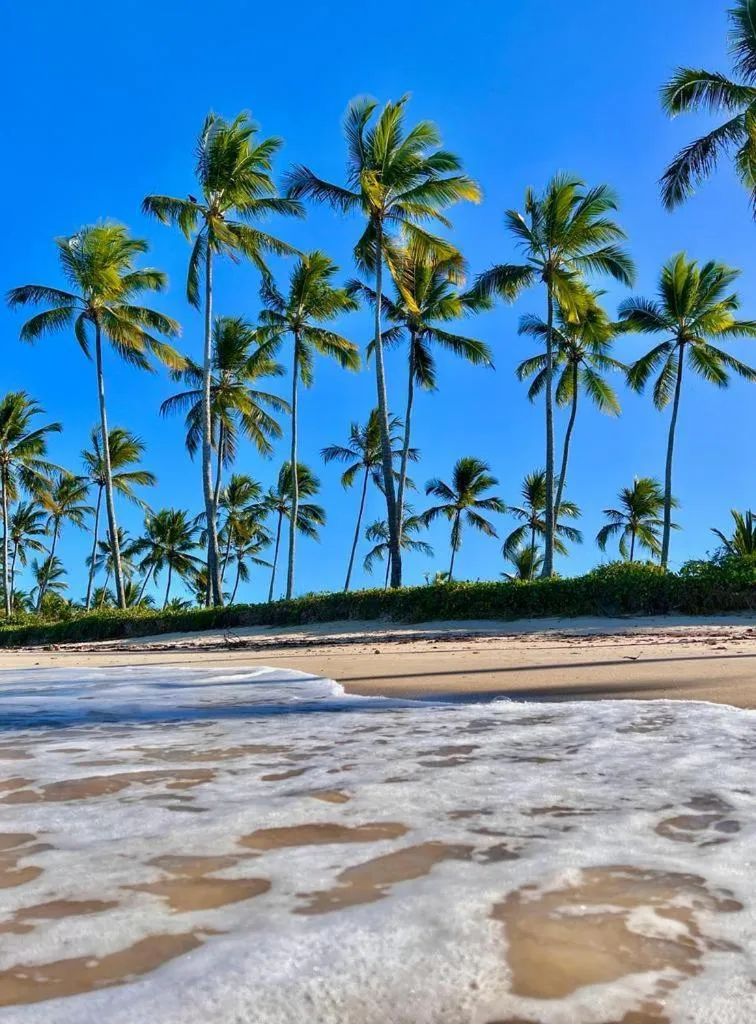 Casa da Dilma Trancoso