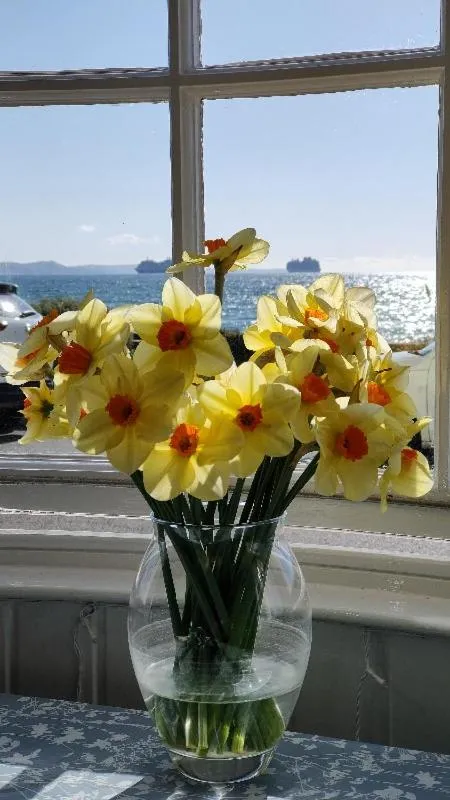Sea view in Lichfield House