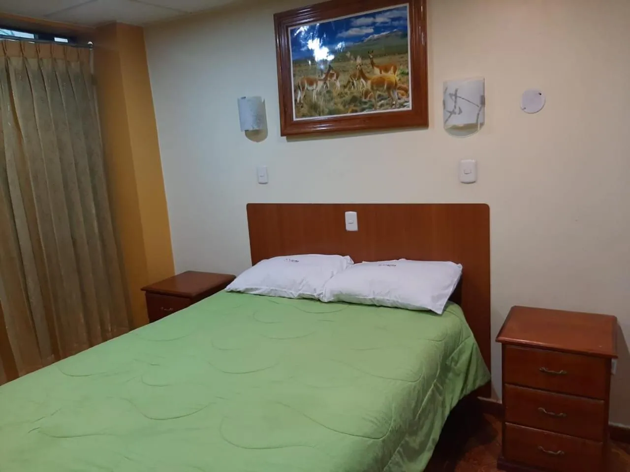 Bed in Hotel Las Lomas