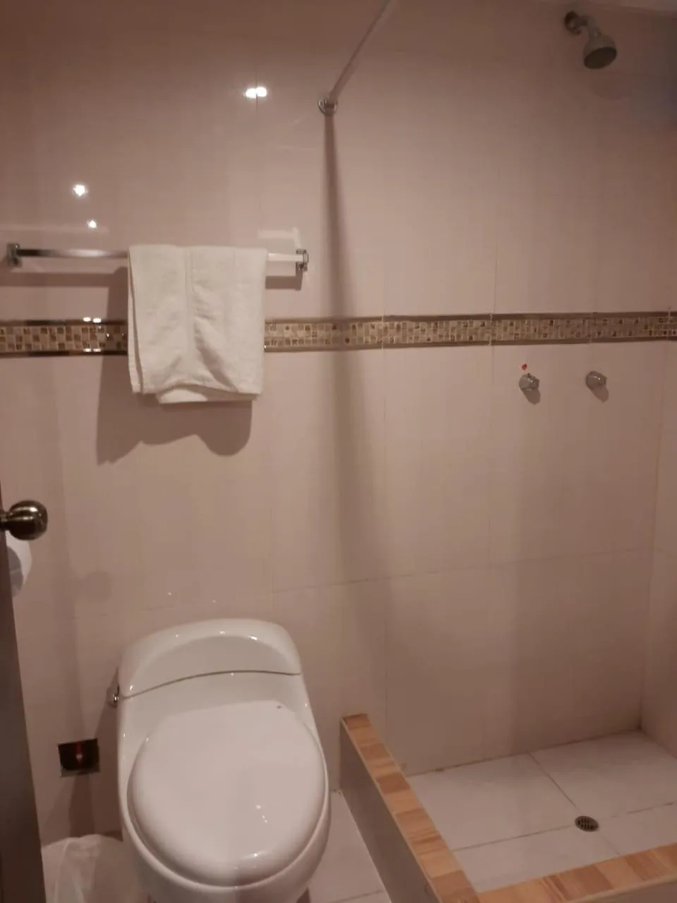 Bathroom in Hotel Las Lomas