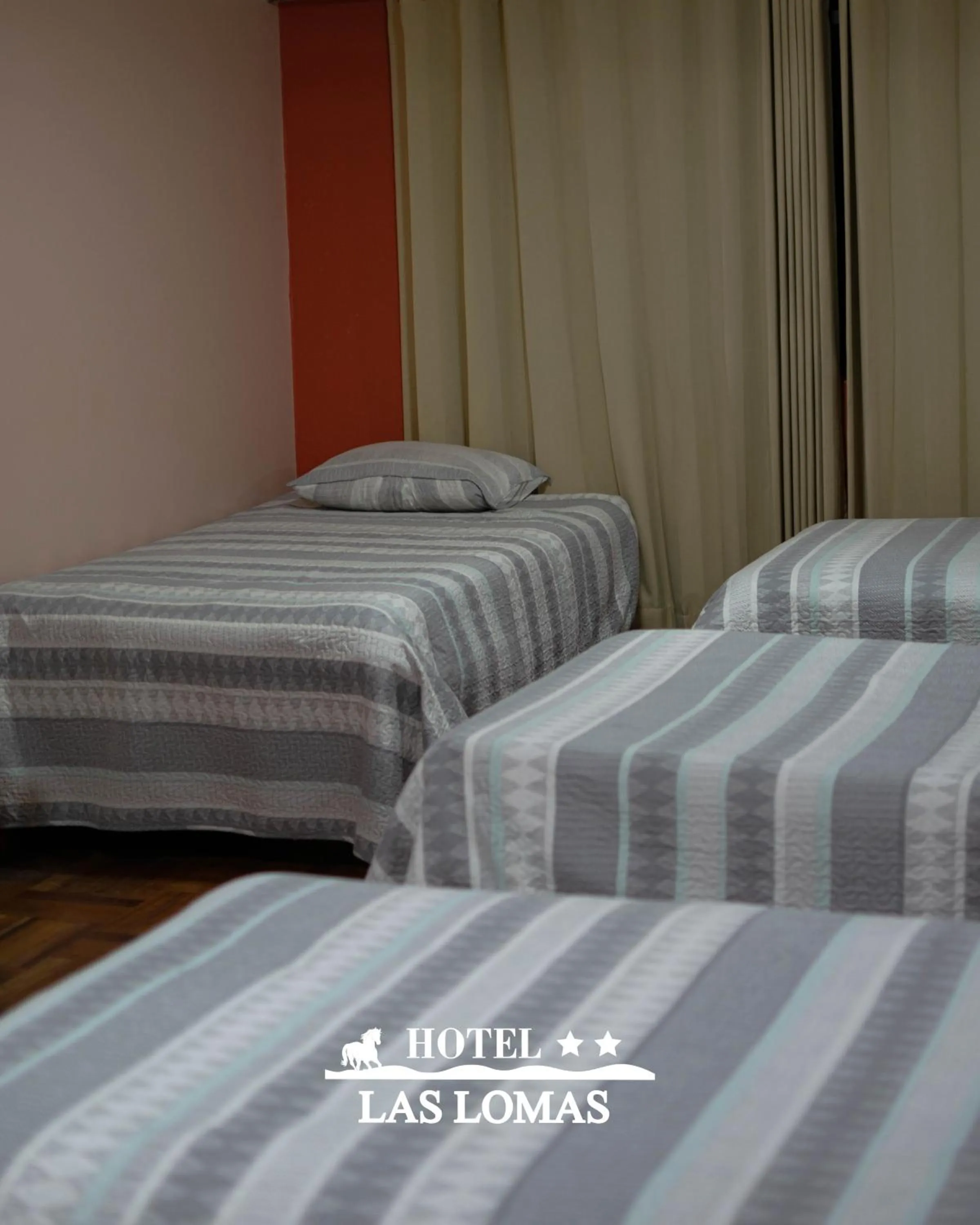 Bed in Hotel Las Lomas